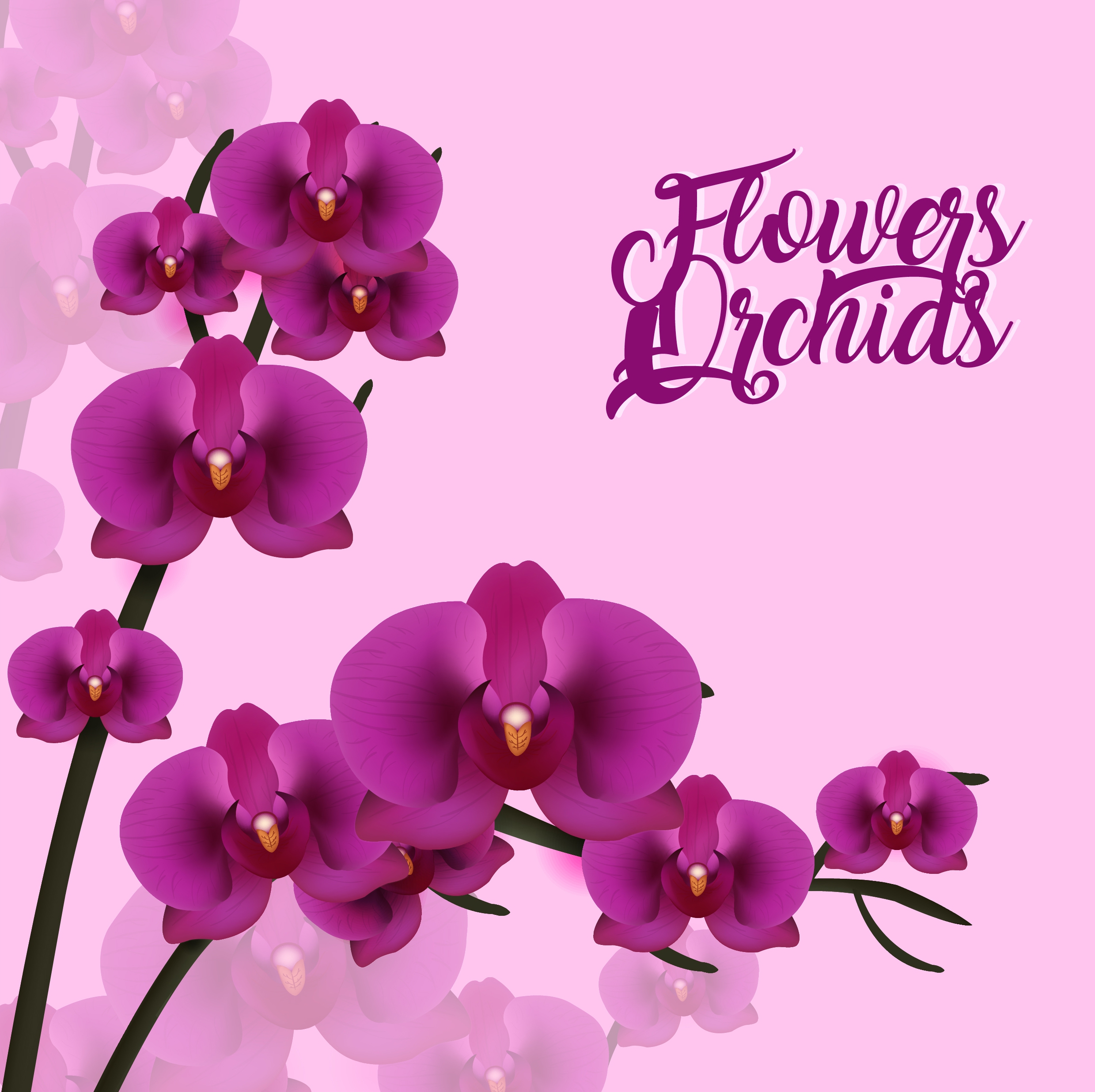 violet orchids background 3d design