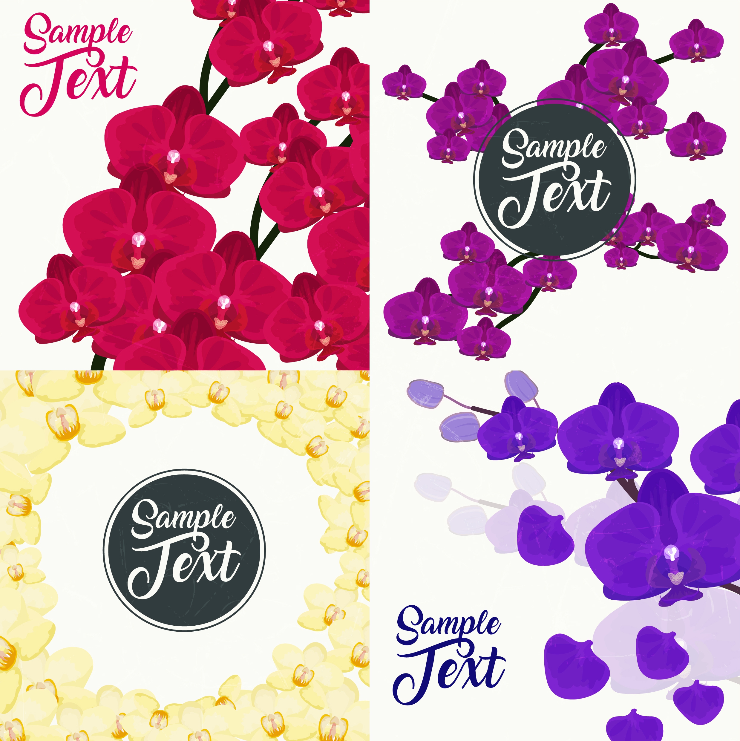 orchids background collection red violet yellow design