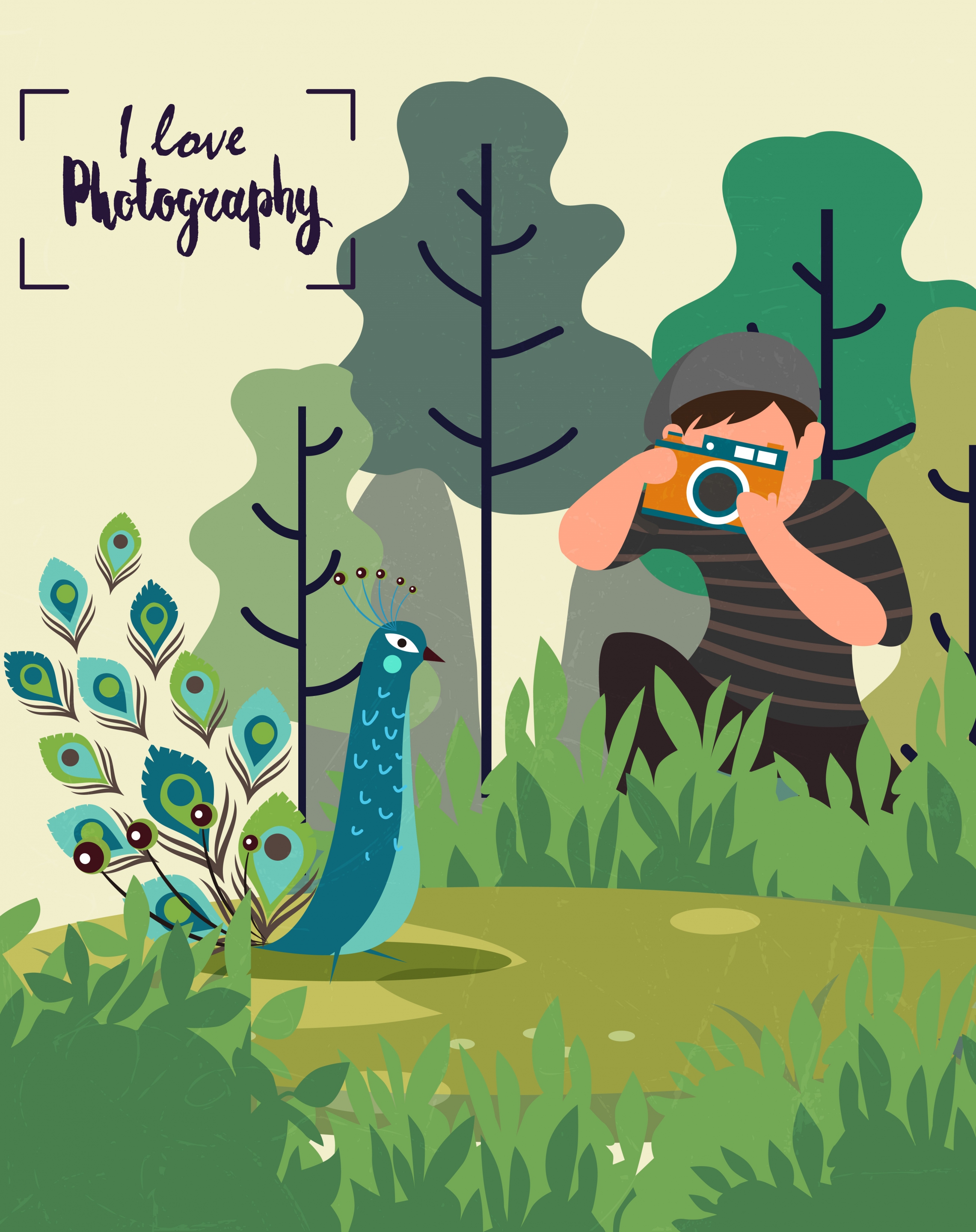 photography banner cameraman peacock icon colored cartoon