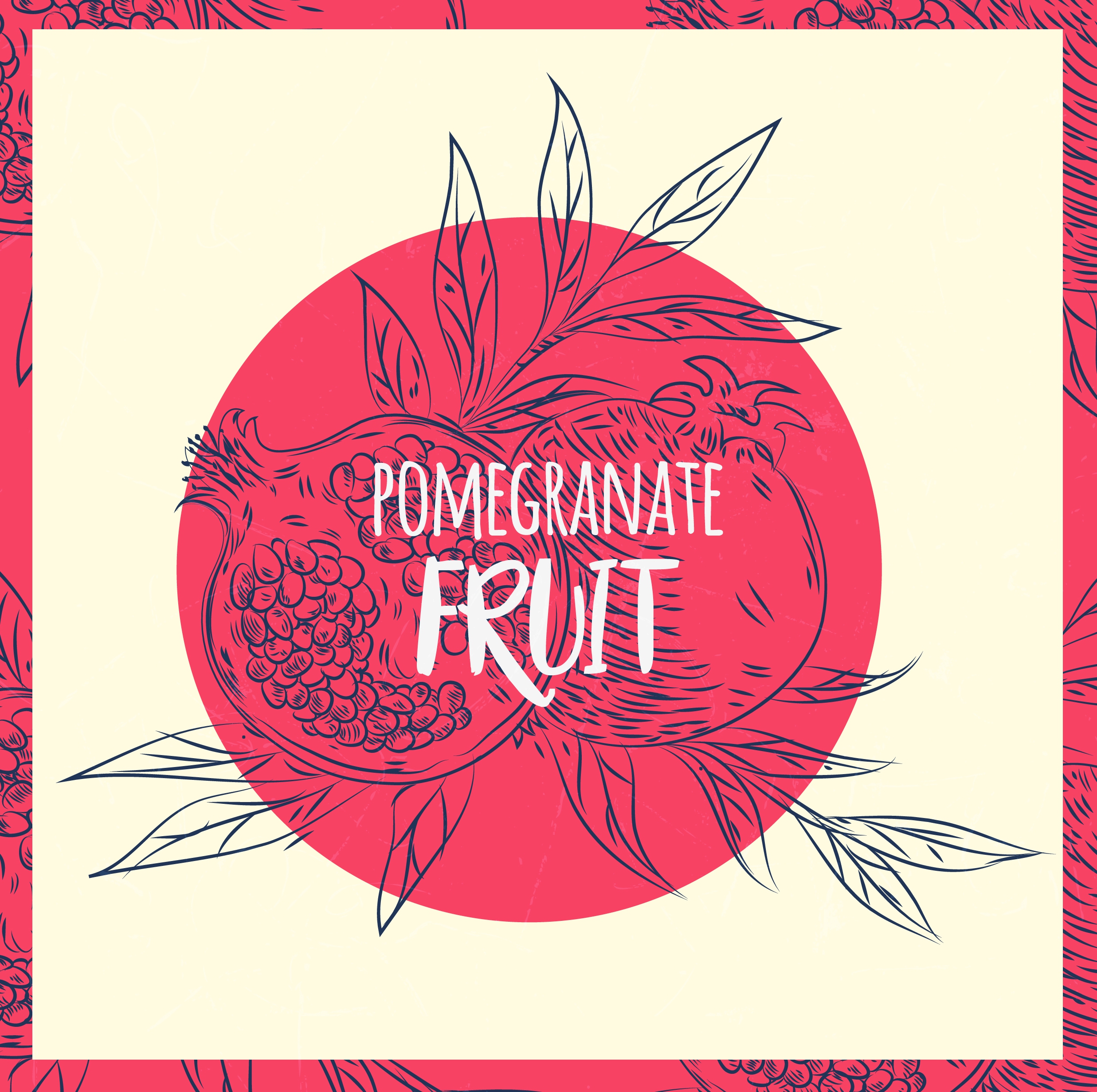 pomegranate drawing handdrawn outline retro design