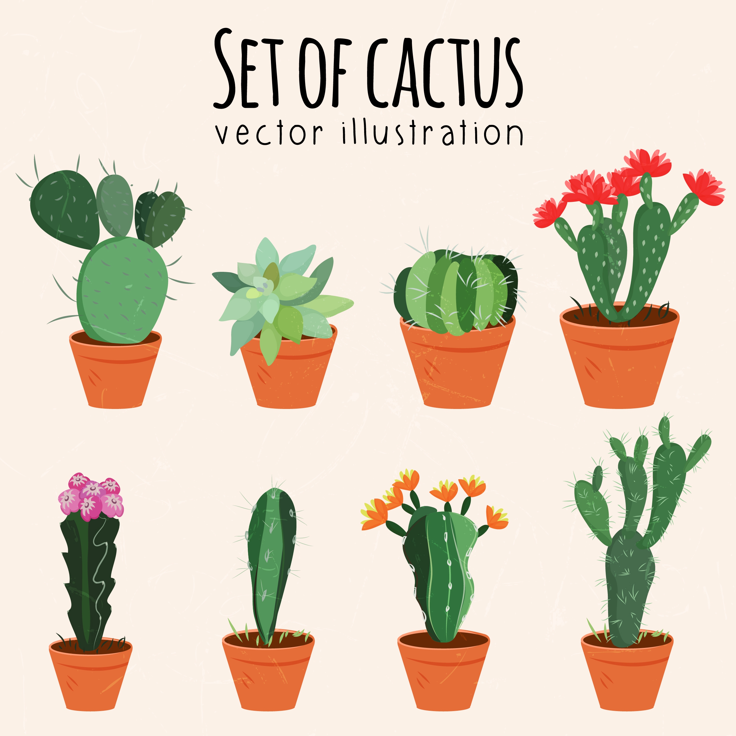 cactus pots icons various multicolored types isolation