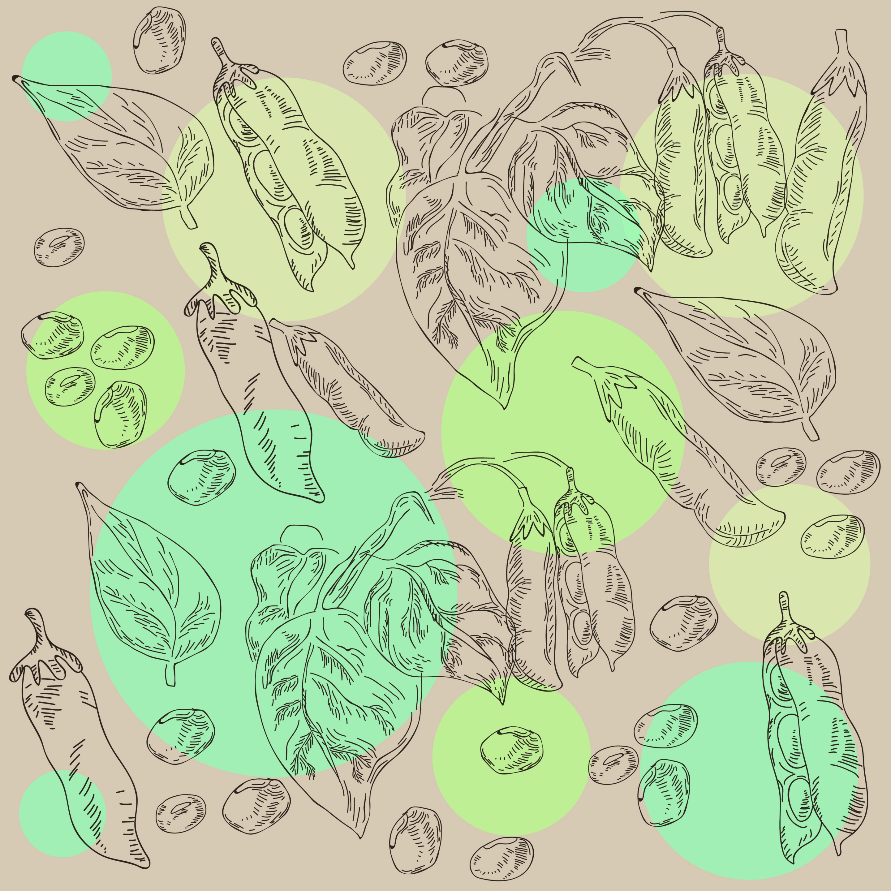 soybean background nut leaf icons handdrawn sketch