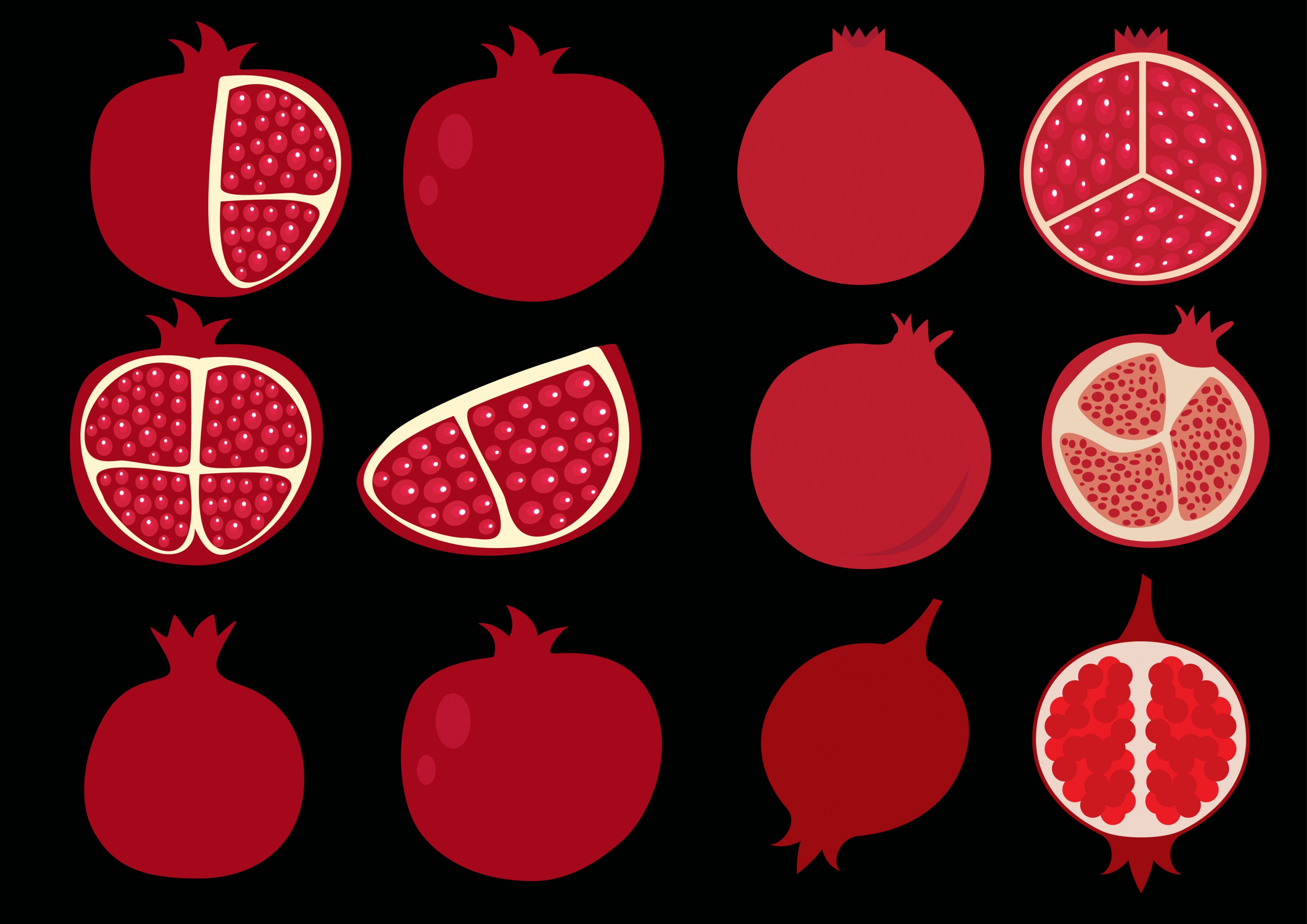 pomegranate icons collection red flat design