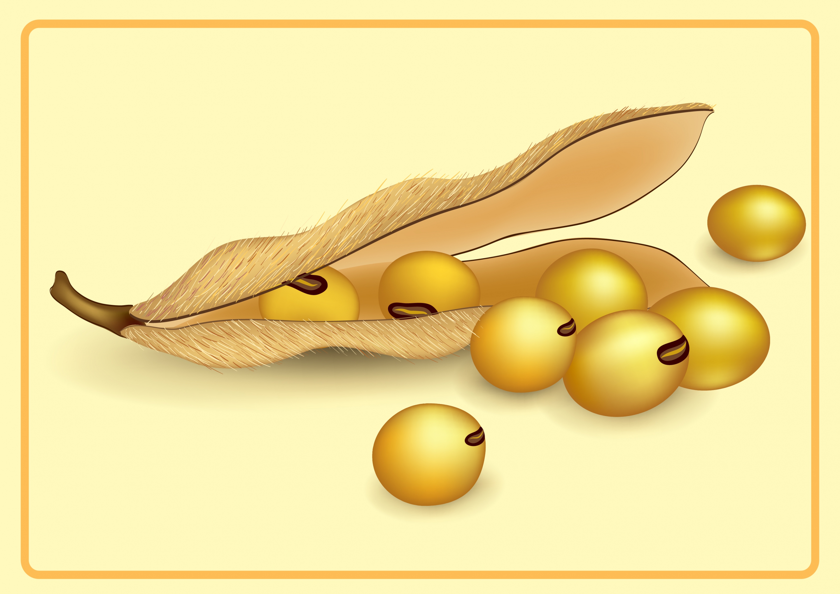 soybean icon shiny 3d decoration