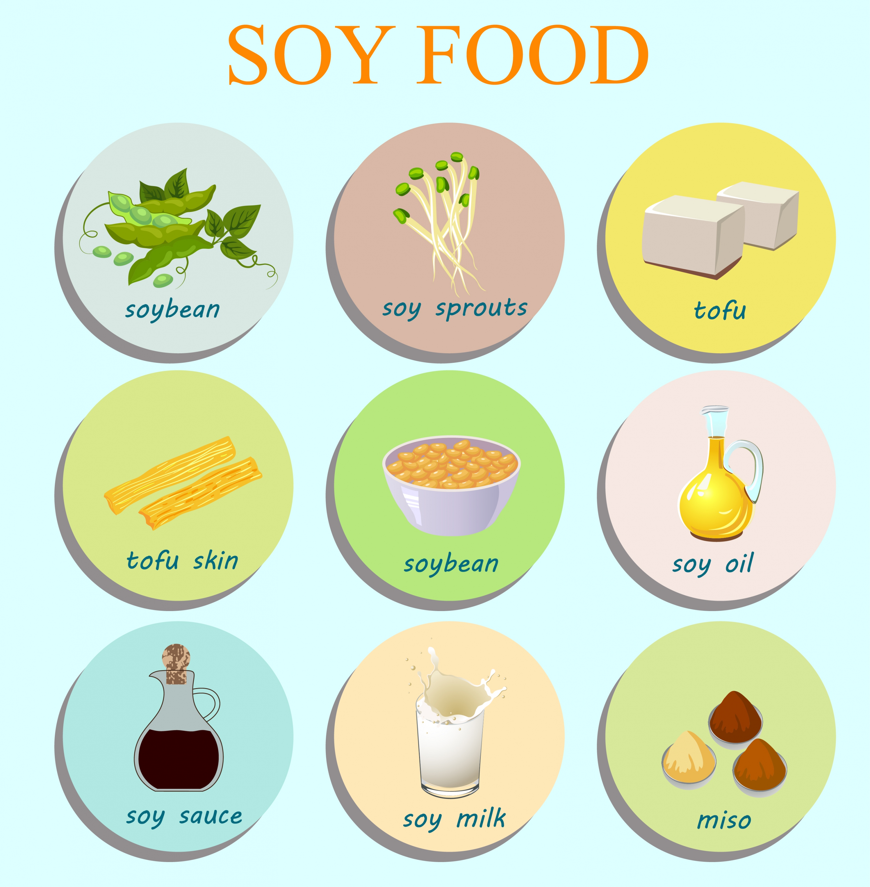 soy food icons various types circle isolation