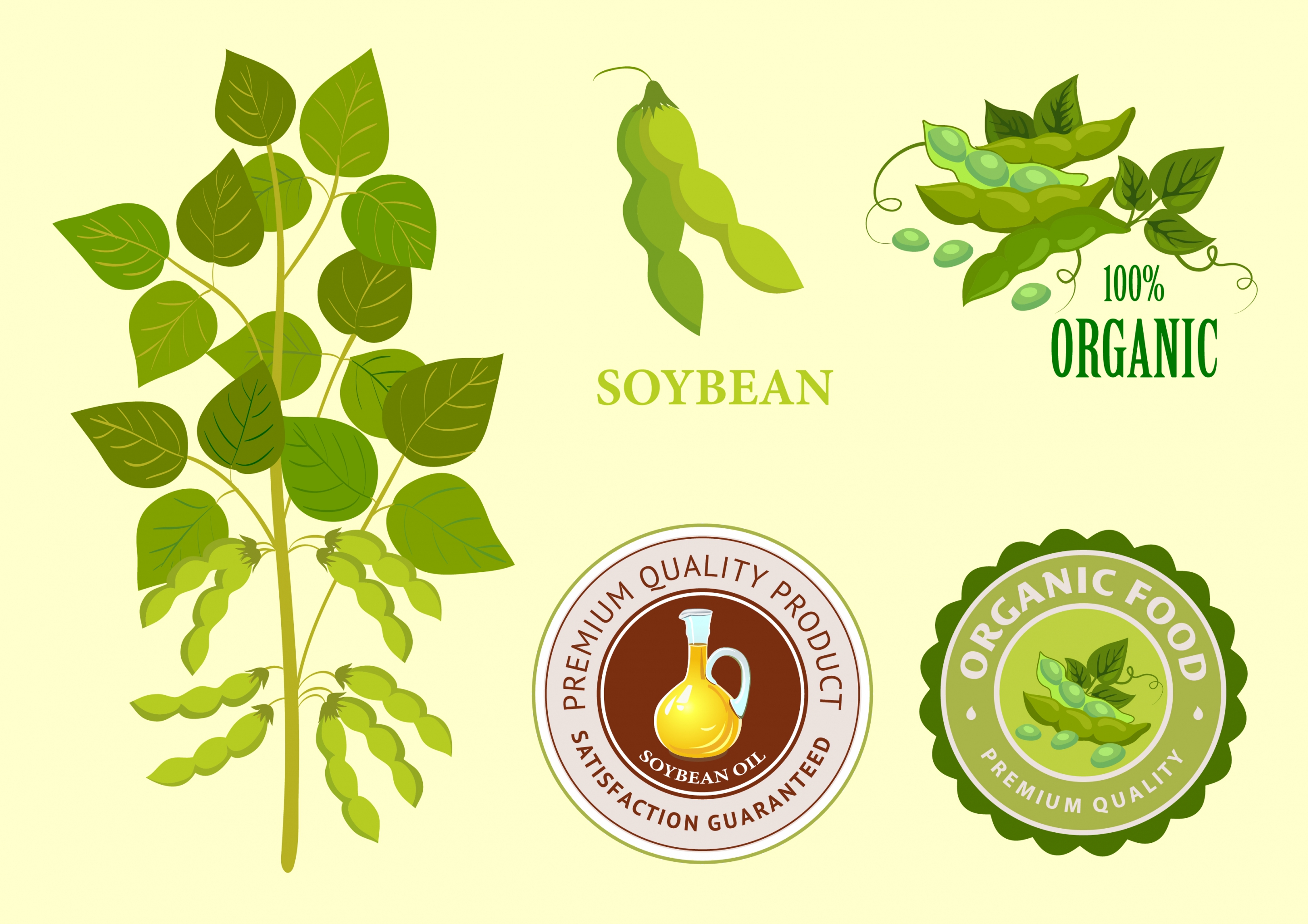 soybean products identity sets tree seal logotypes icons