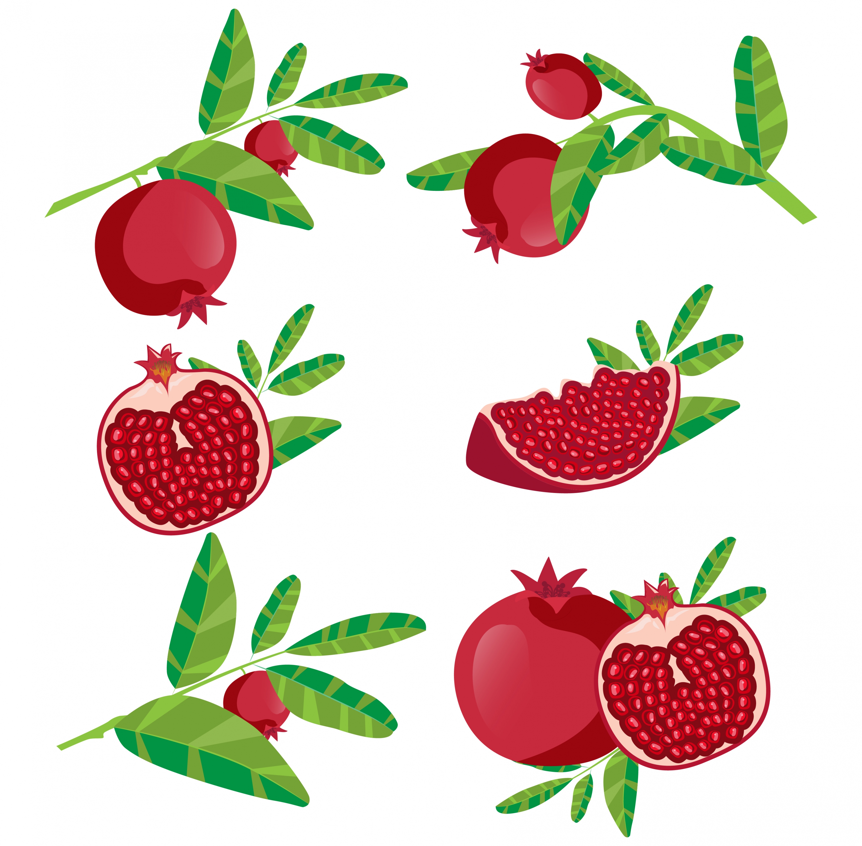 pomegranate background fruit icons various shapes isolation