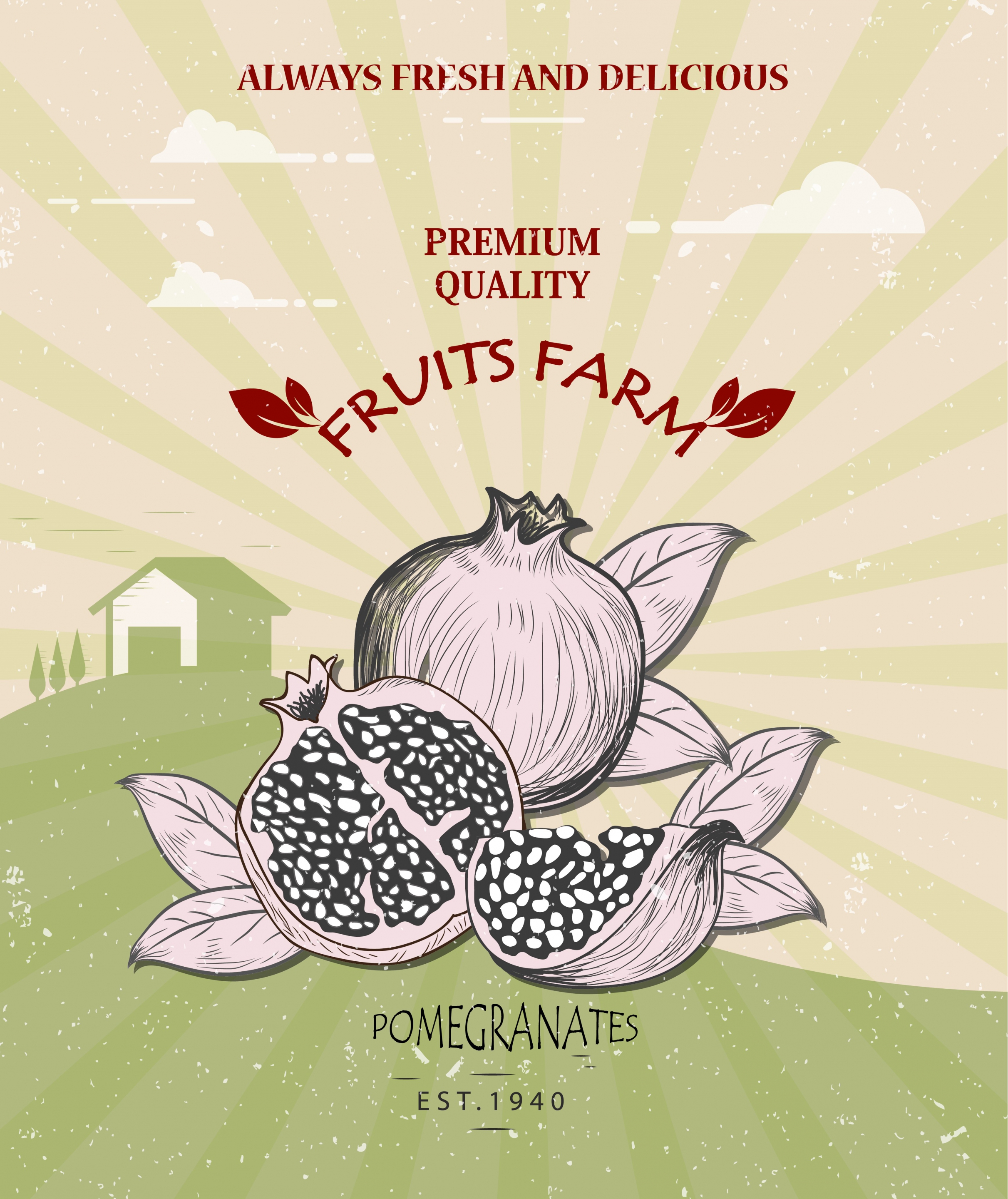 farm fruit banner pomegranate icon retro design