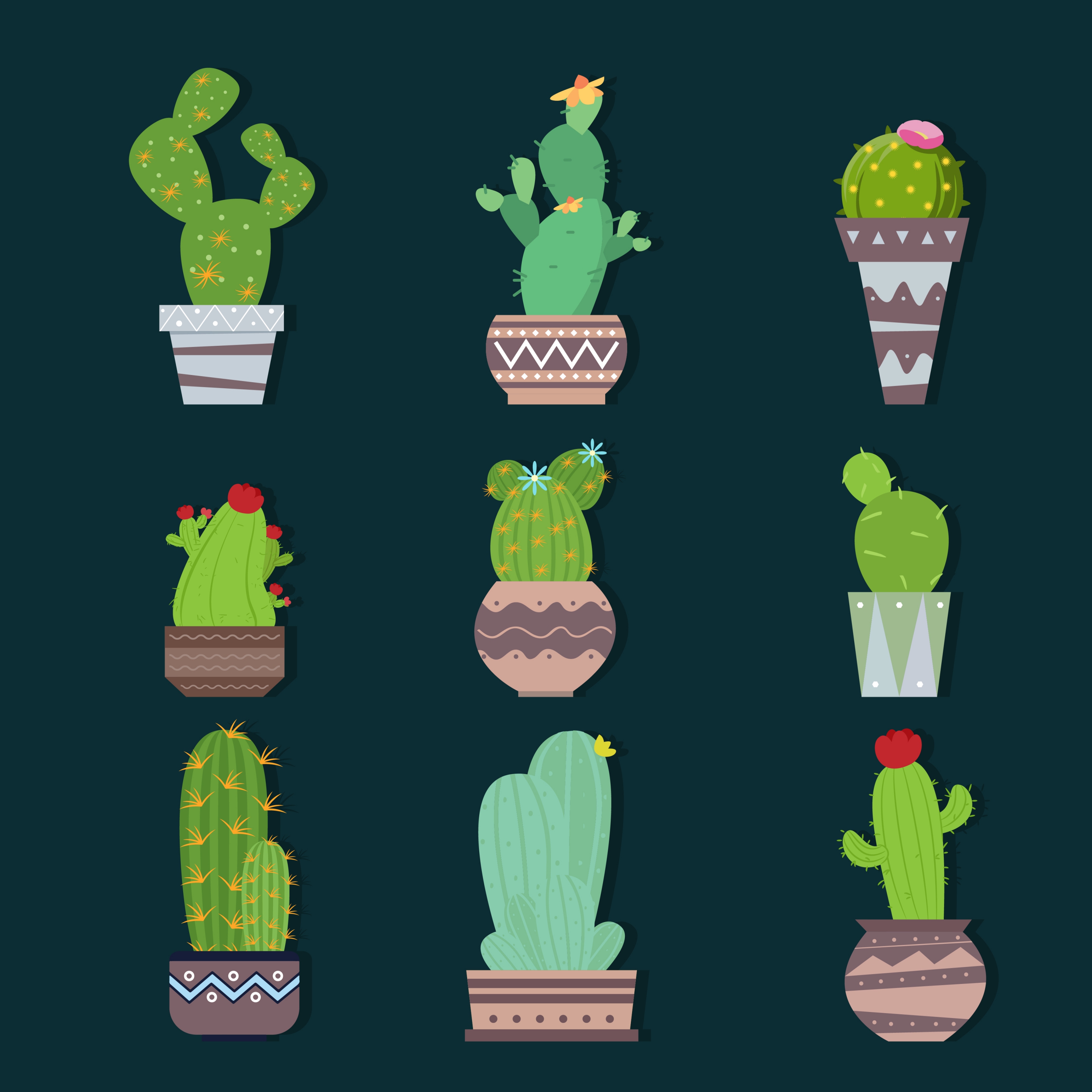 cactus icons collection various green types isolation