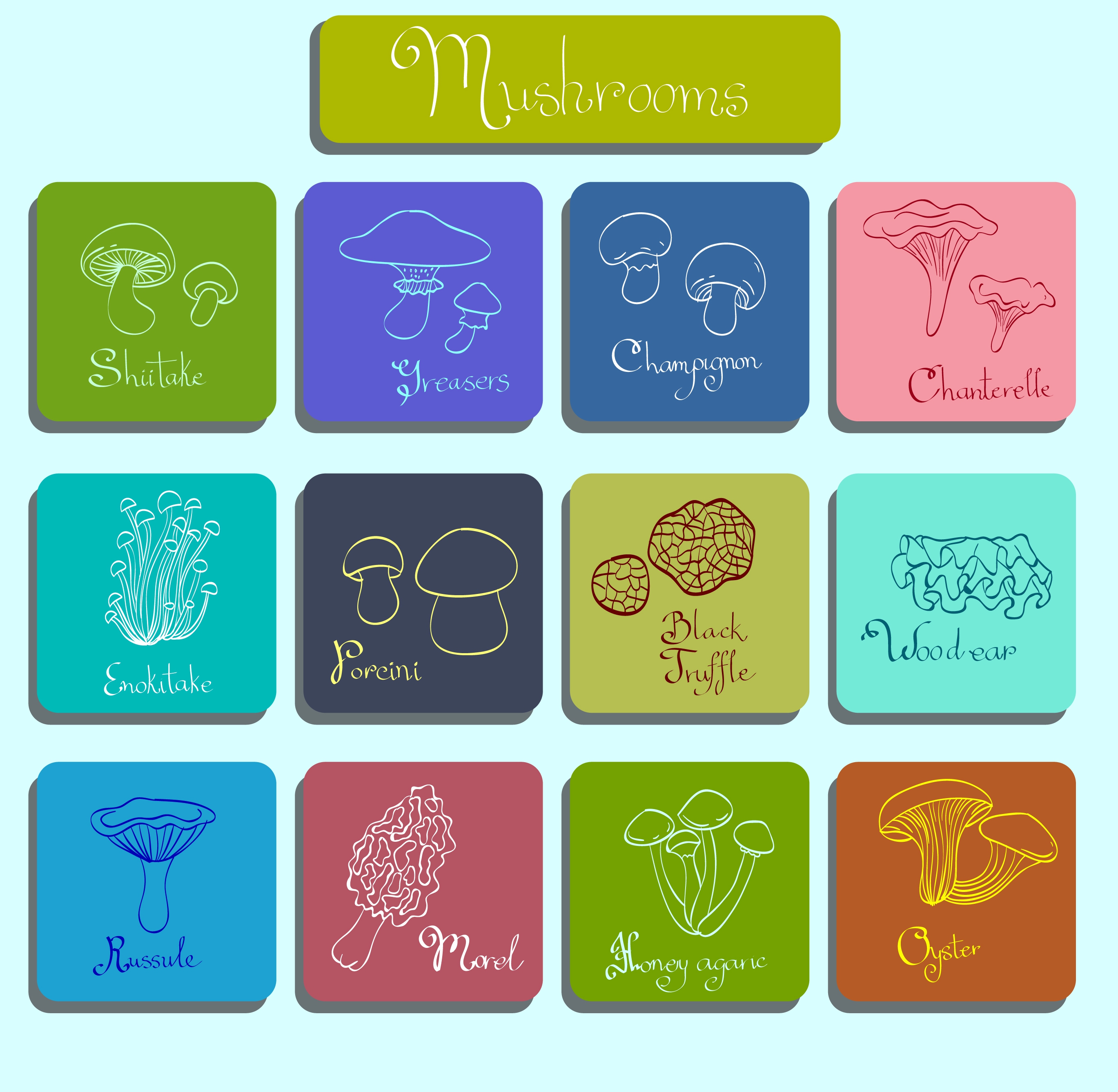 mushroom icons various flat types squares isolation