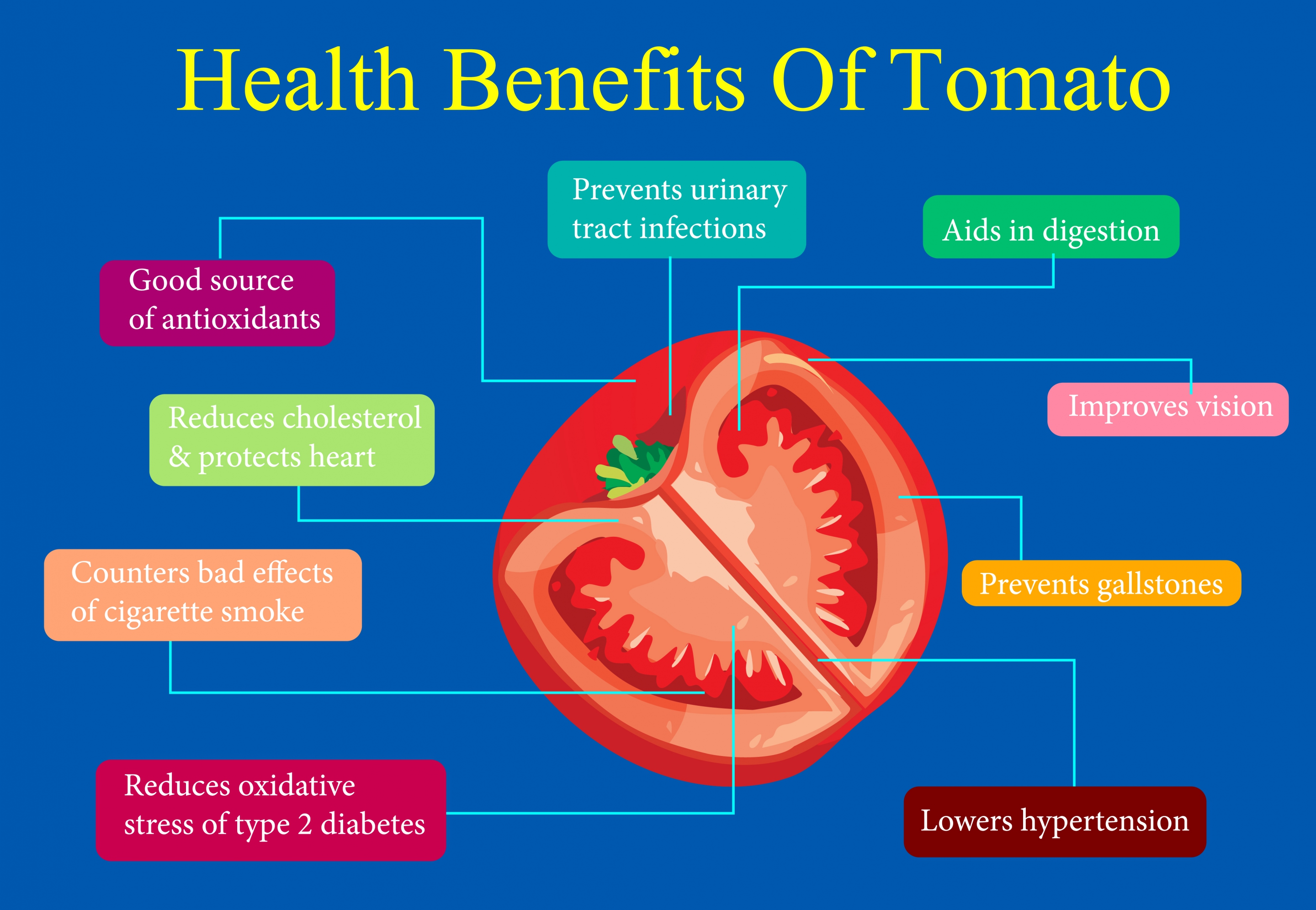 tomato benefit infographic slice icon text decoration