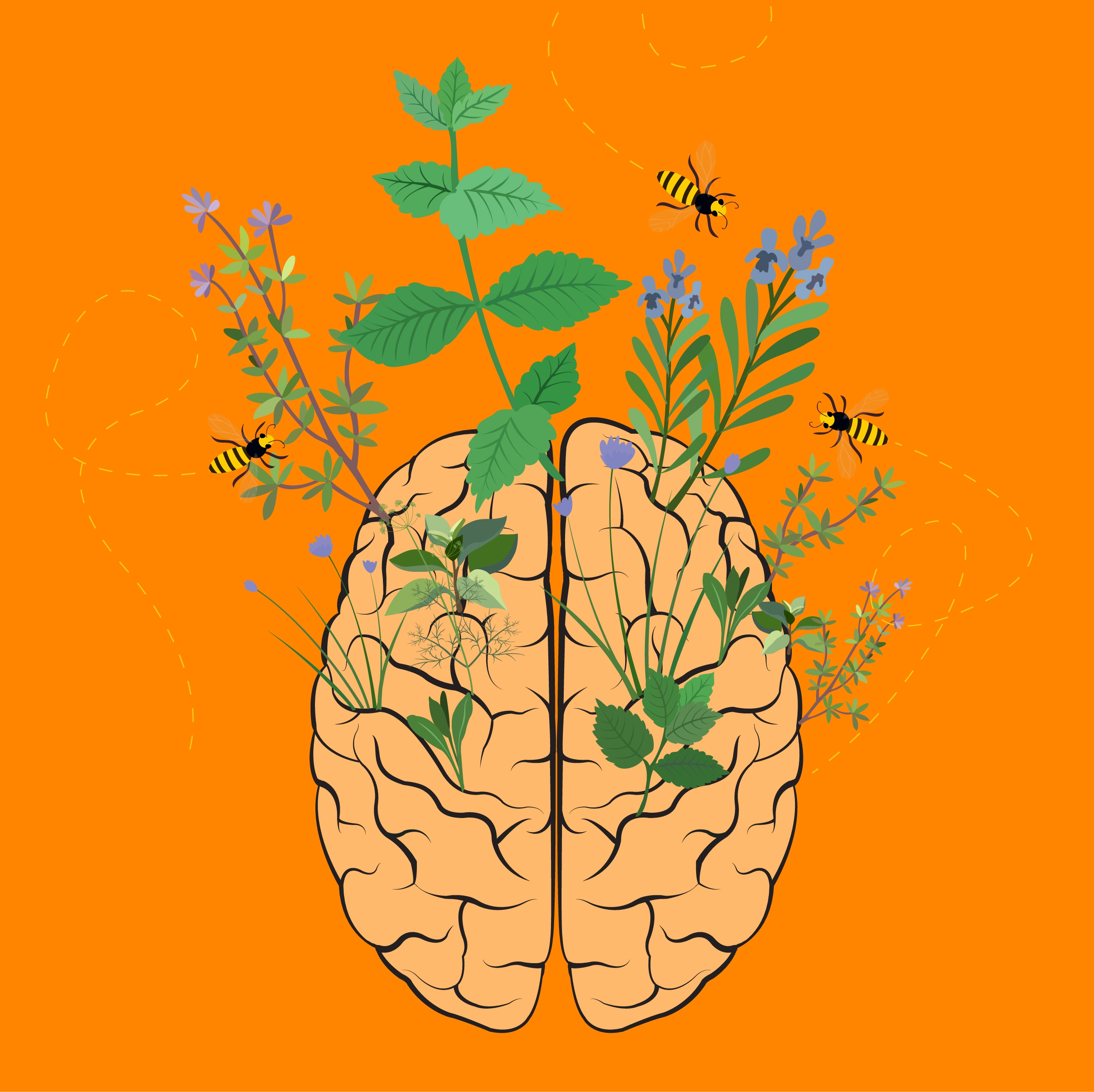 brain development background honeybee wild flowers icons