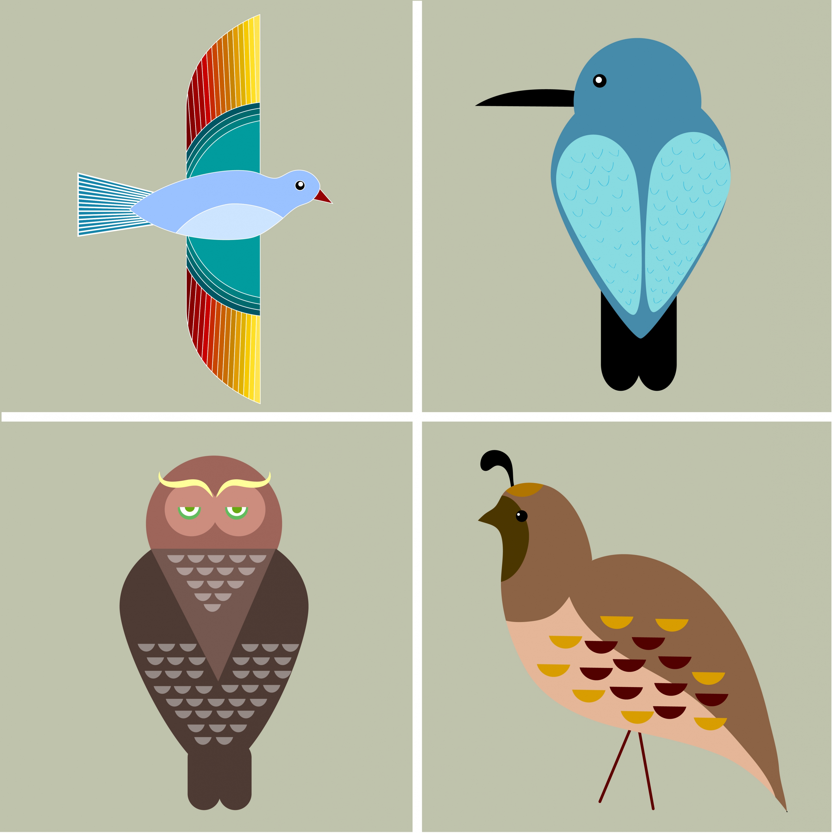 bird icons collection various flat colored types