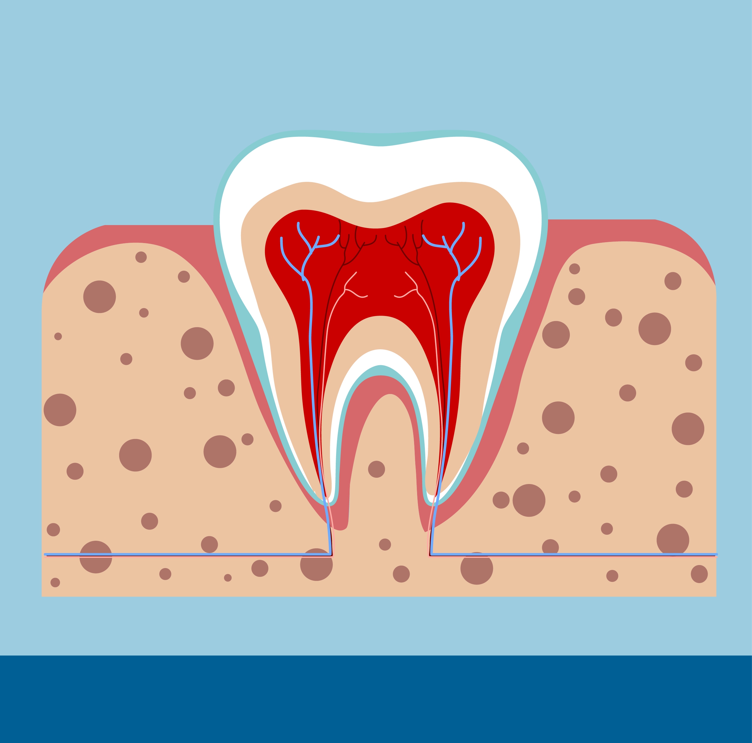 dental background tooth gum icon flat cutting design