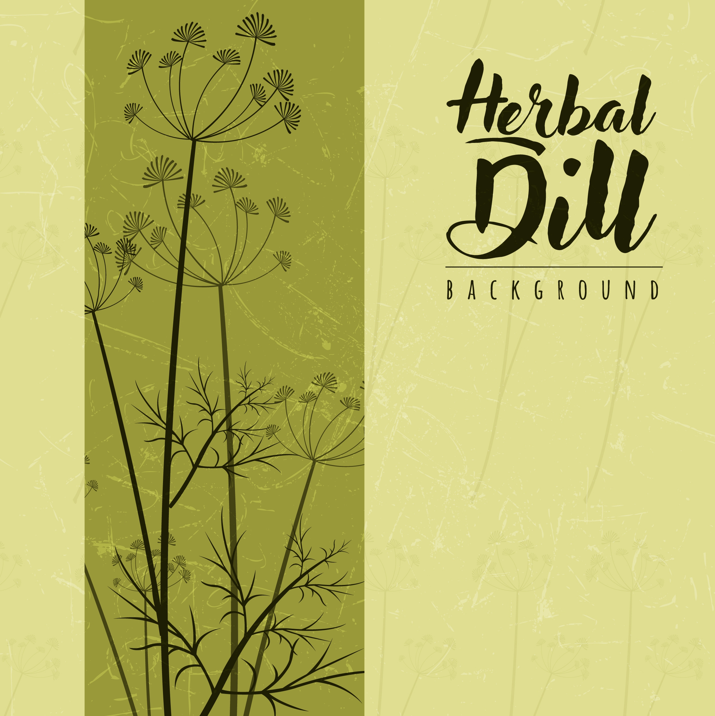 herbal dill background classical colored decoration