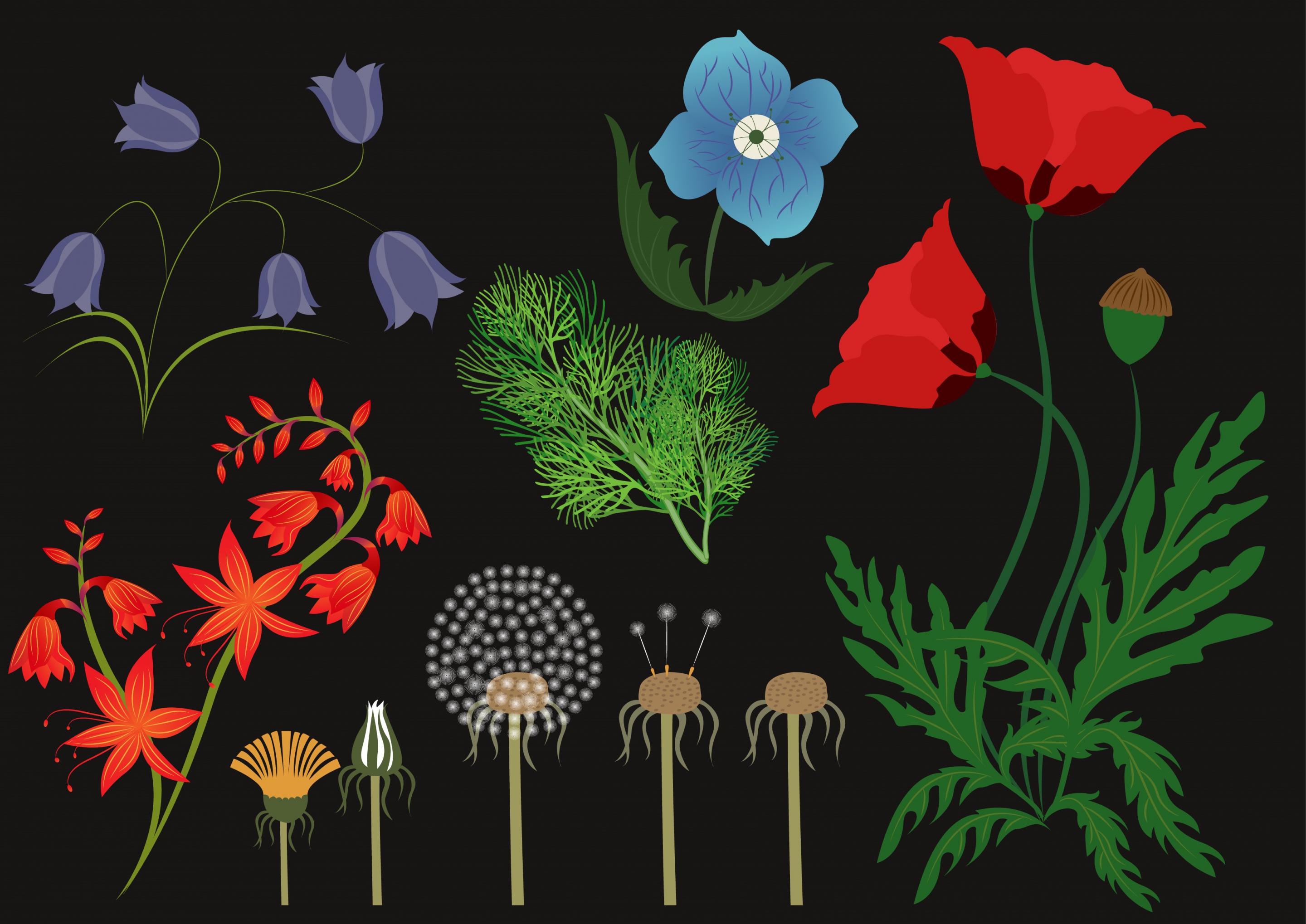 herbal icons background various multicolored flora decoration