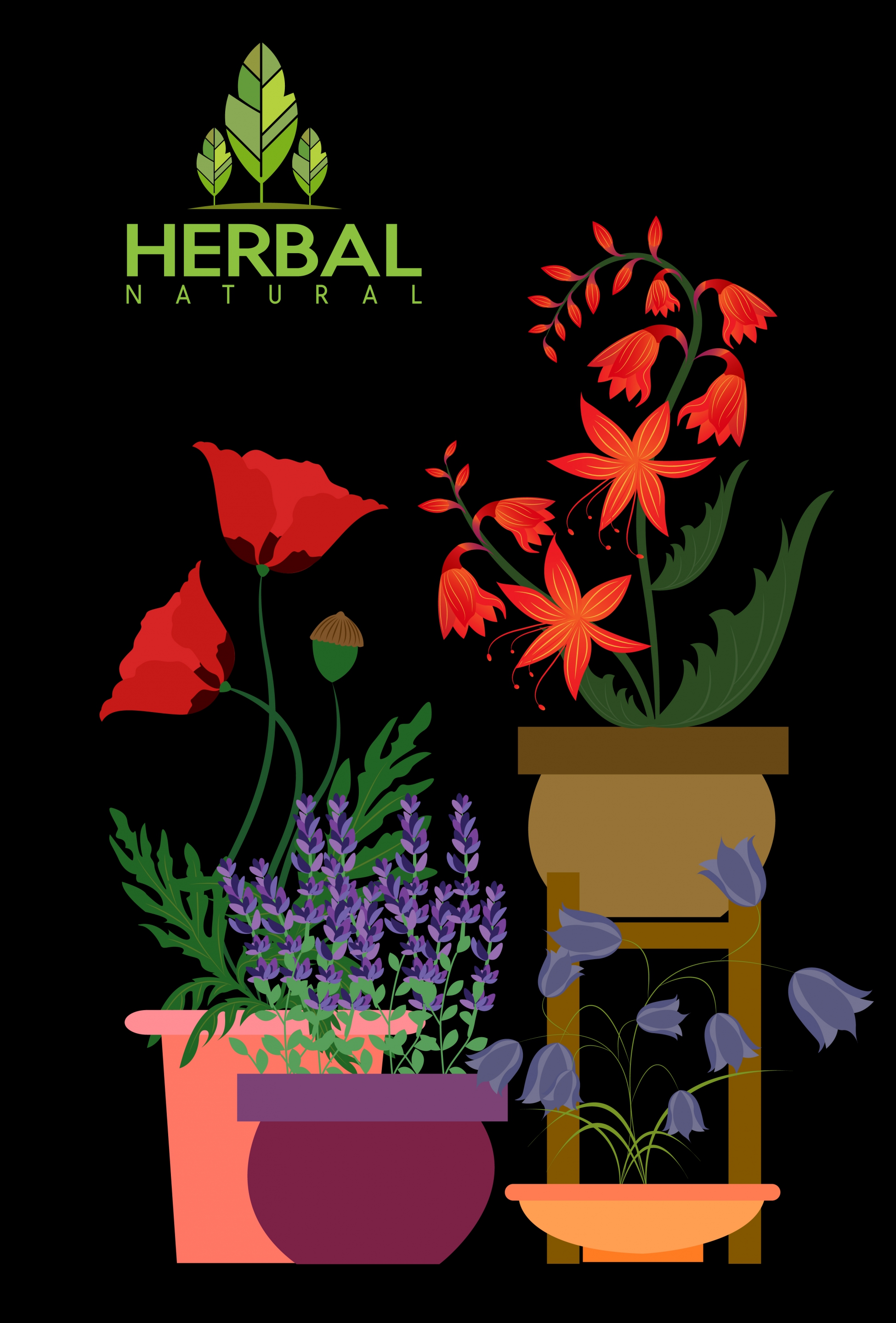 natural herbs background colorful flowers icons dark design