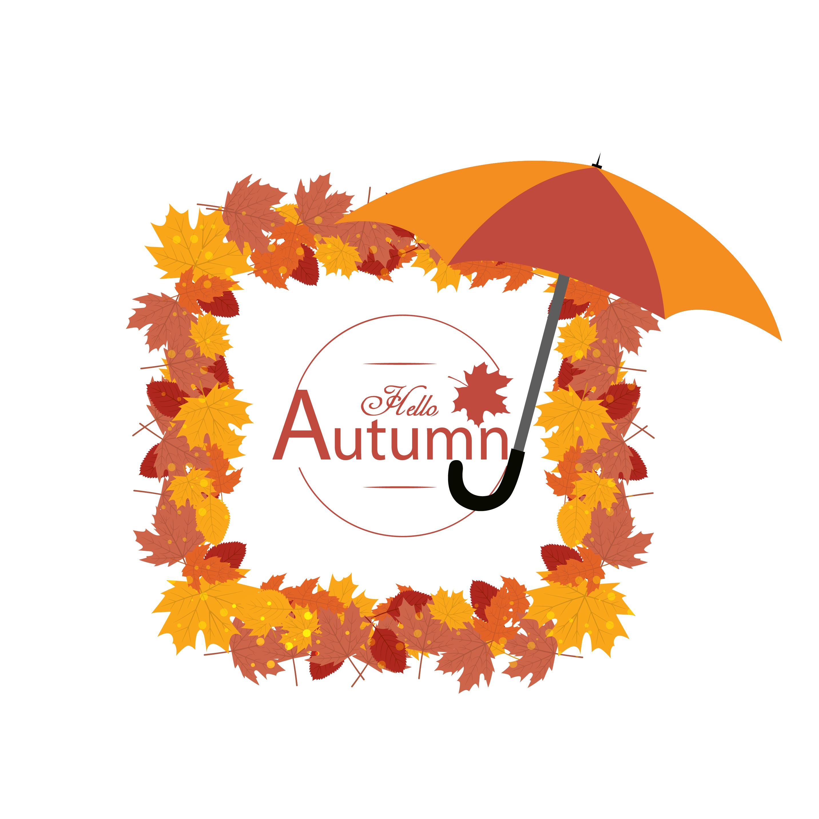 autumn background colorful dried leaves frames umbrella ornament