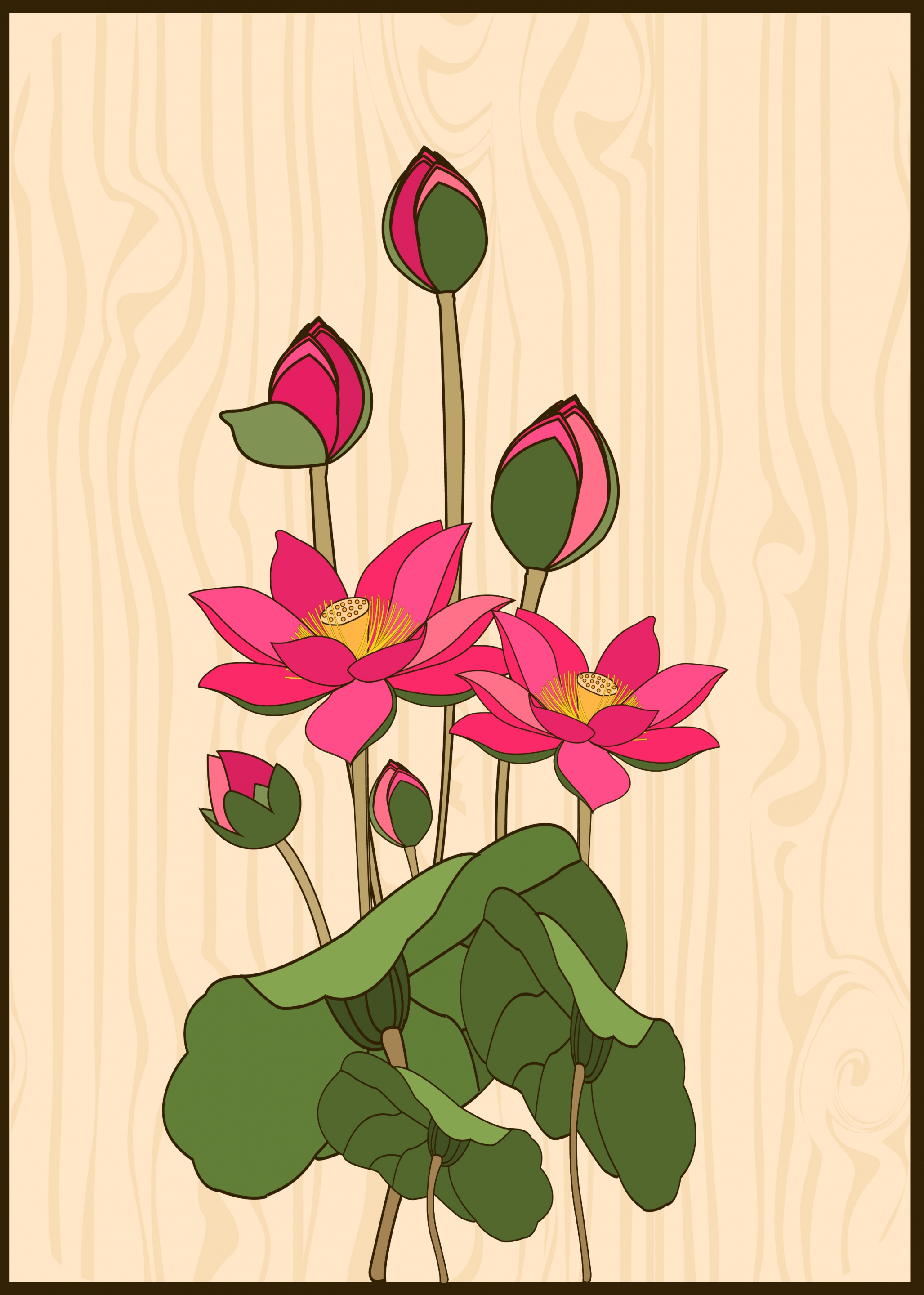 lotus background colored handdrawn sketch