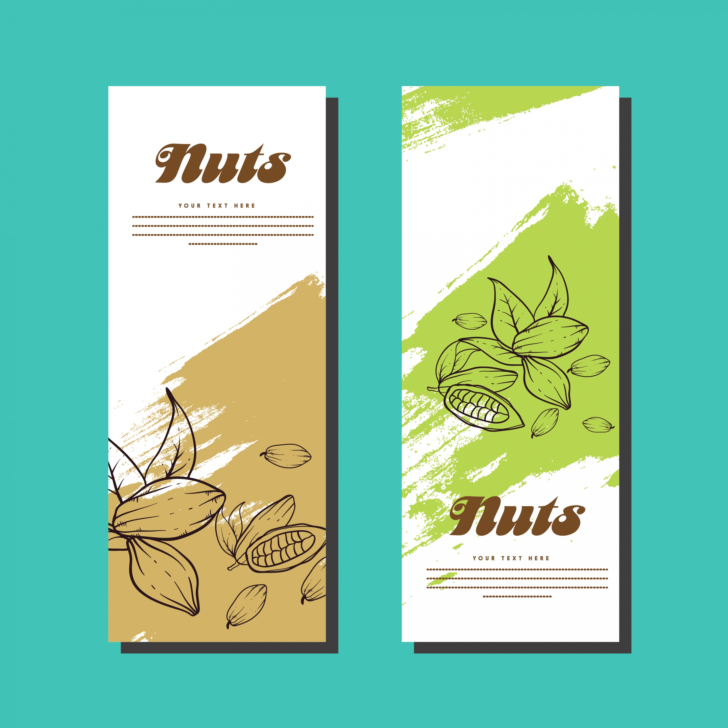 banner template sets nuts background hand drawn sketch