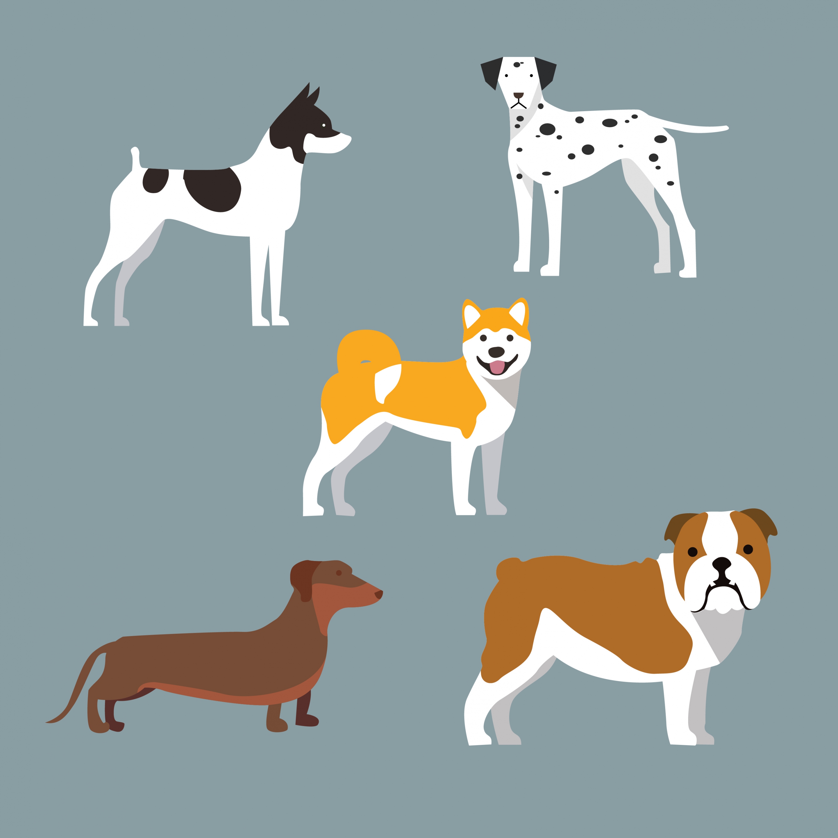 dog icons collections various colorful types