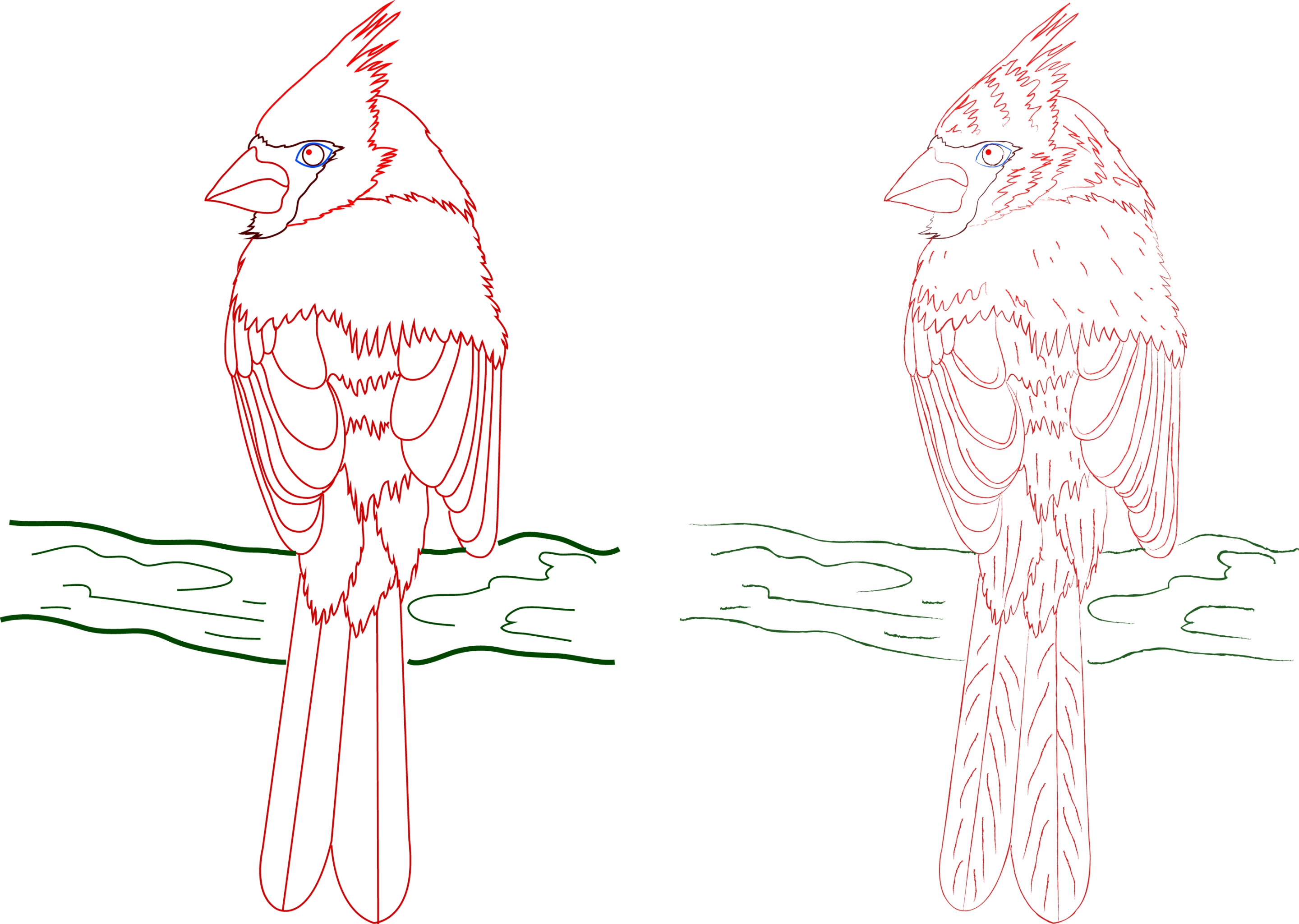 perching bird icons colored hand drawn outline