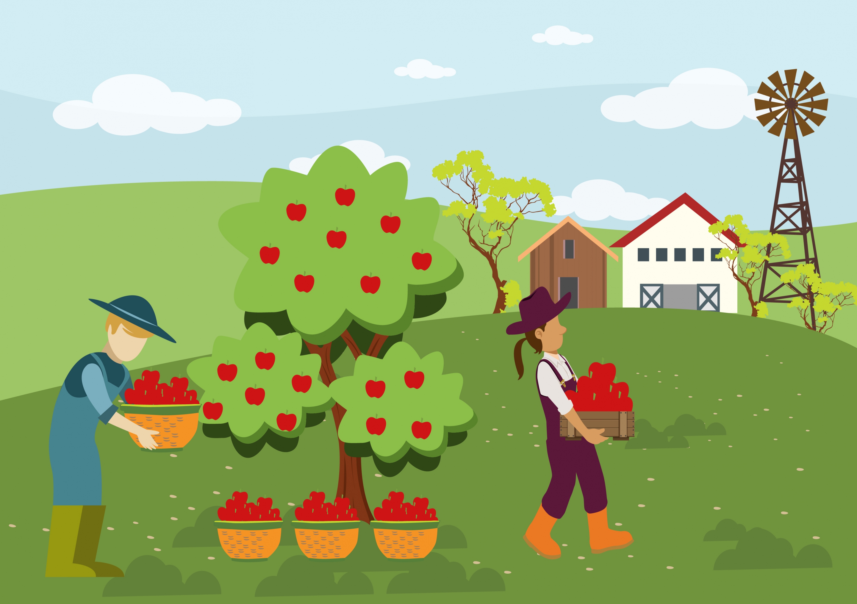 farming work theme human harvesting fruit design