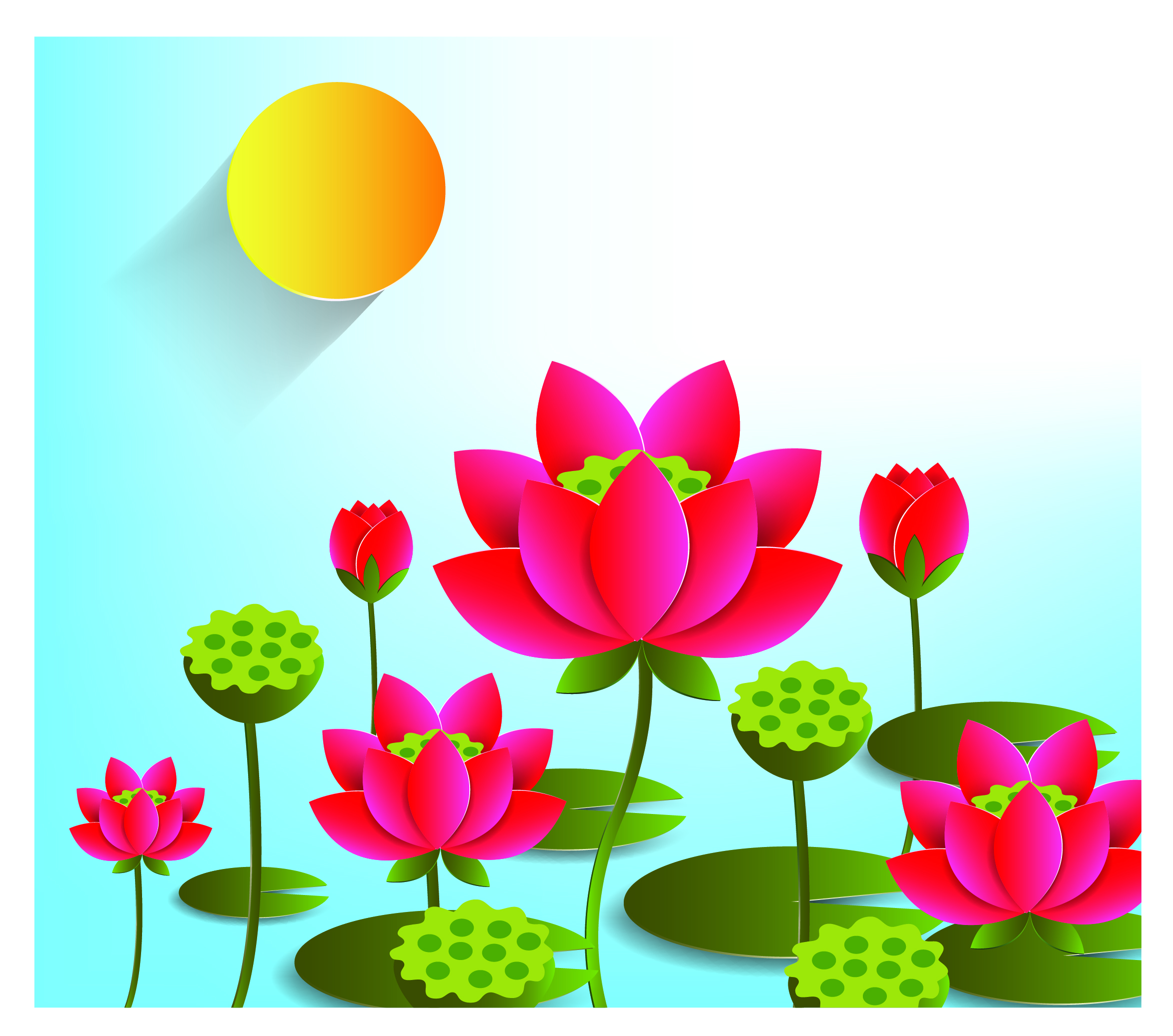 lotus flower