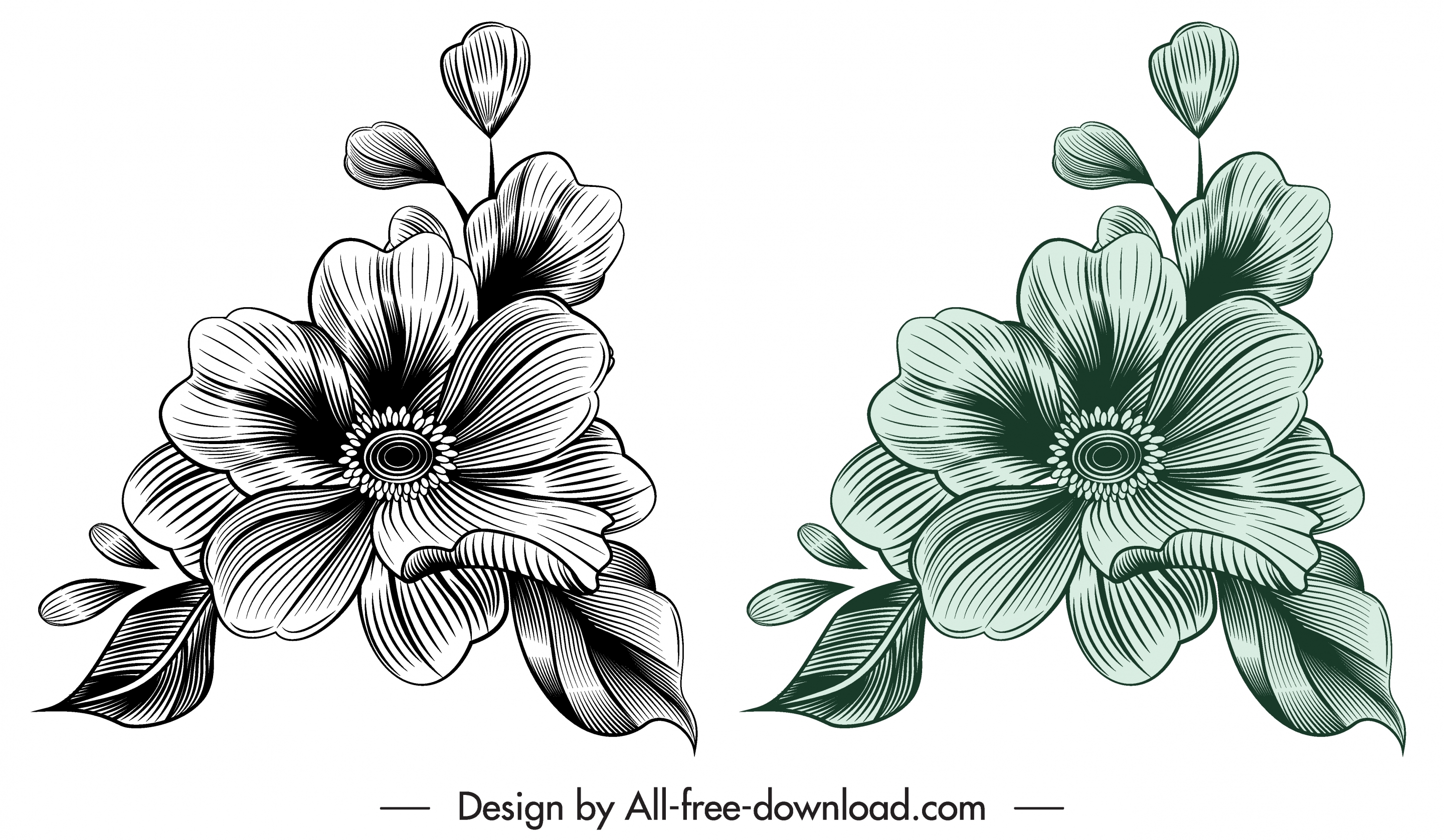 flora template elegant vintage 3d sketch