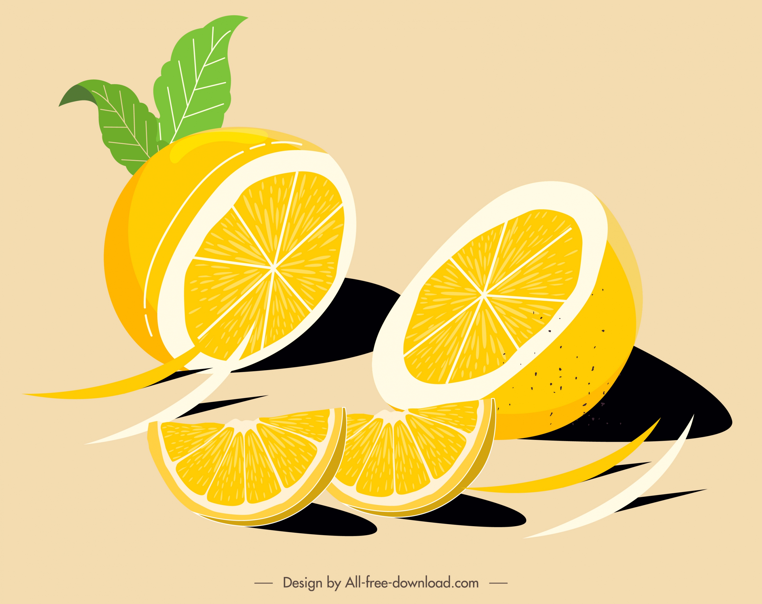 citrus fruits painting slices sketch colored classical handdrawn