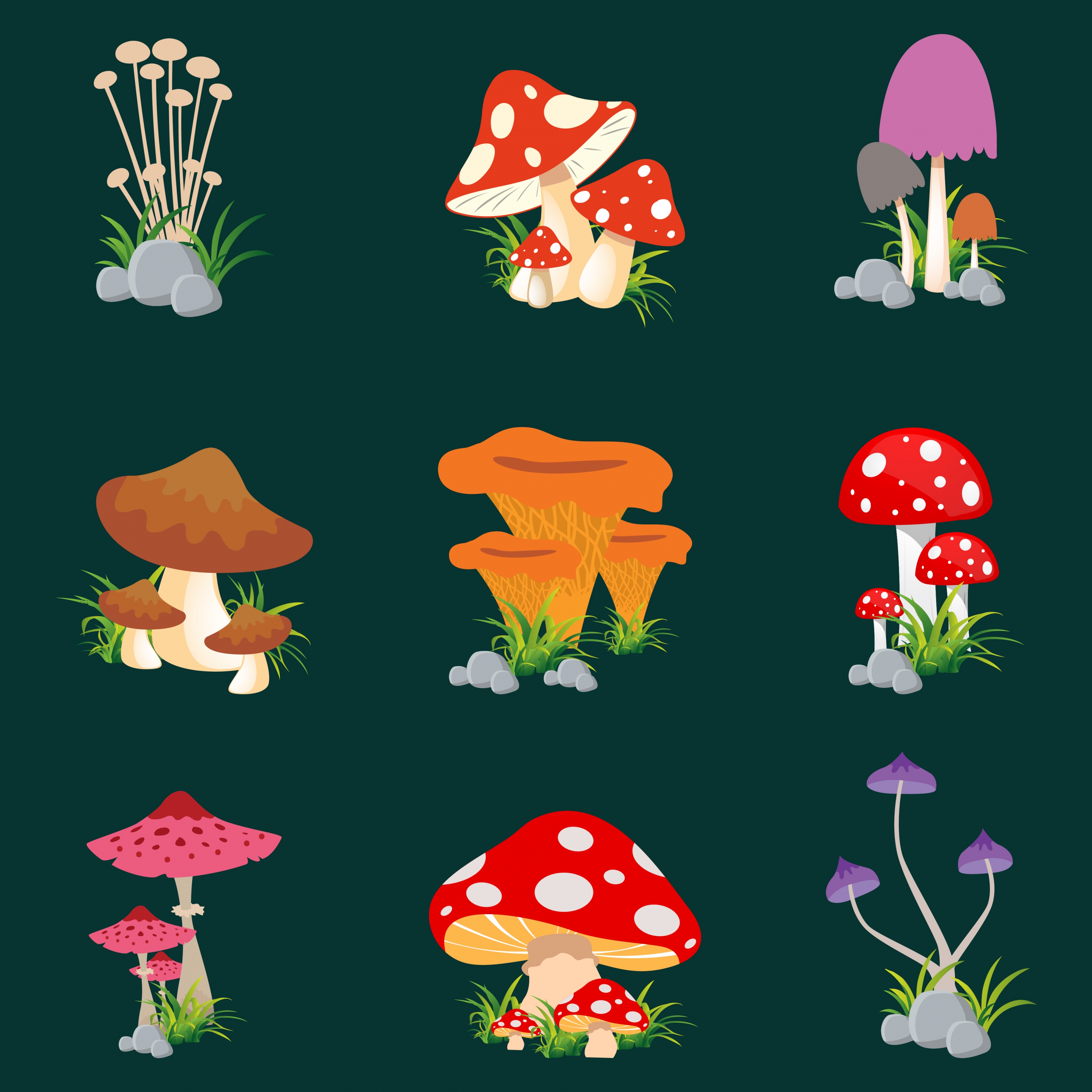 mushroom icons collection various colored types isolation