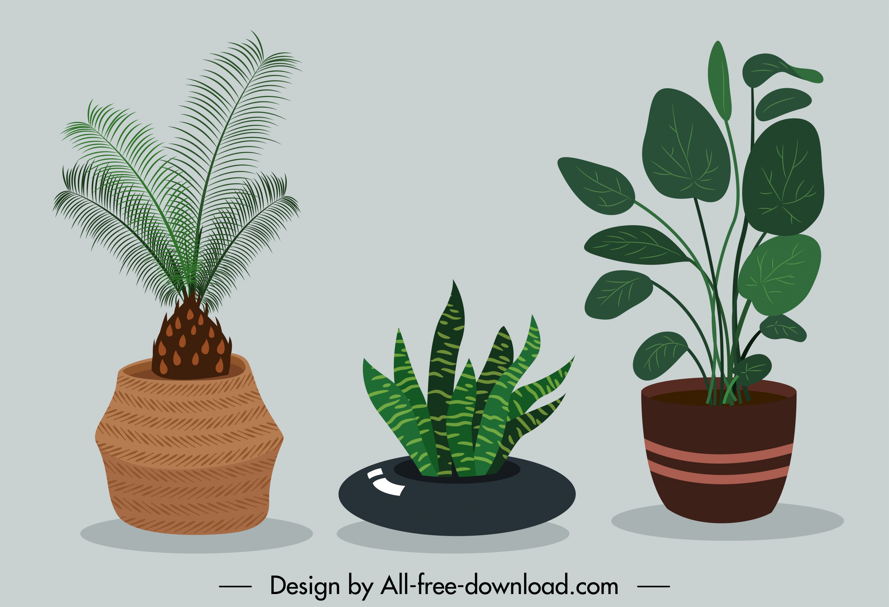 decorative houseplant painting elegant classical design