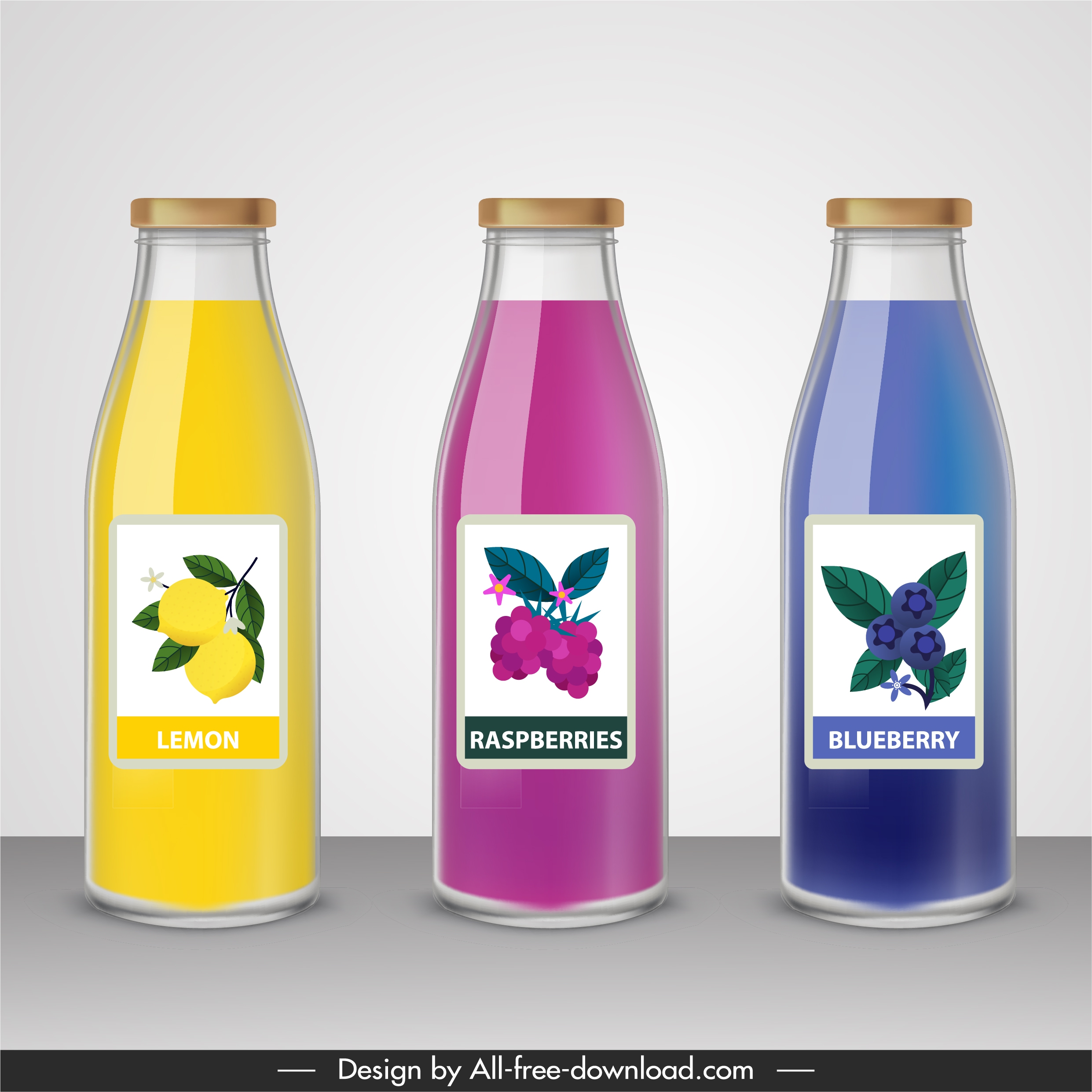 fruit juice bottle templates shiny colored flat sketch