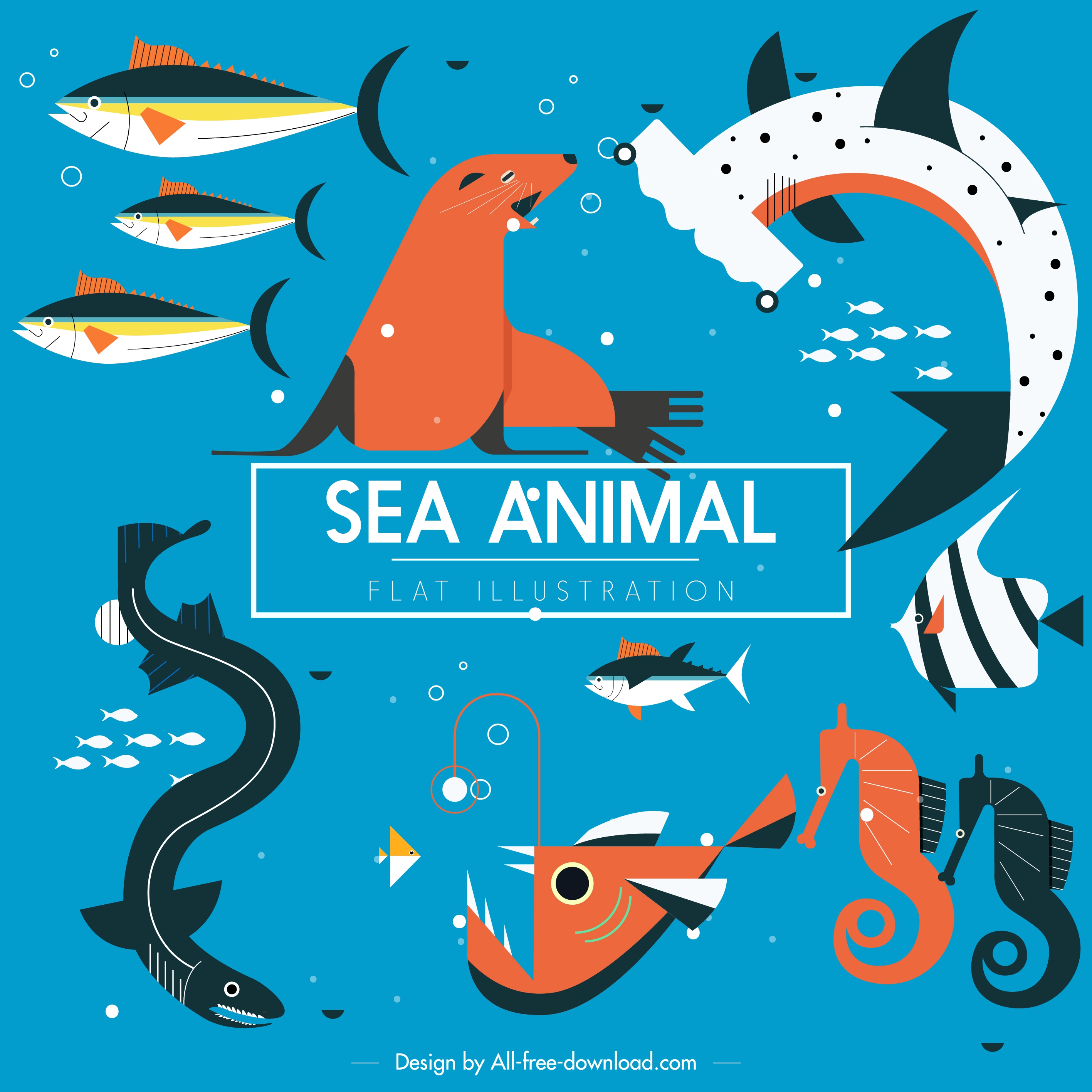 sea animals background fishes species seal seahorse sketch