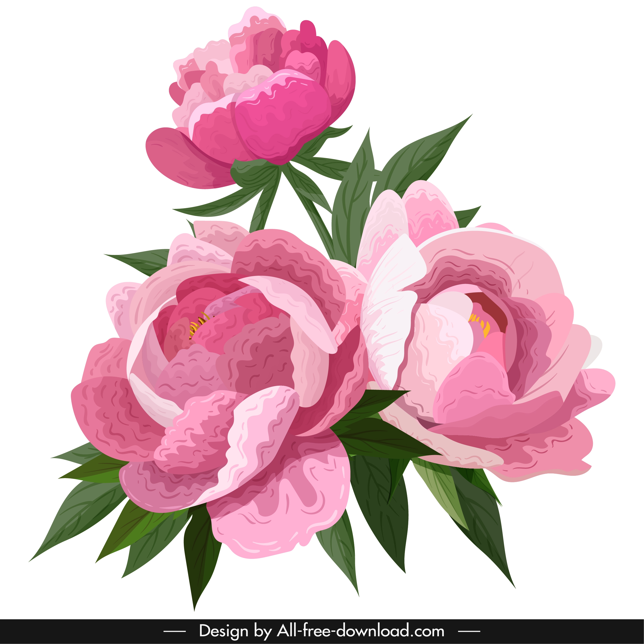 peonies petals painting colored vintage decor handdrawn design