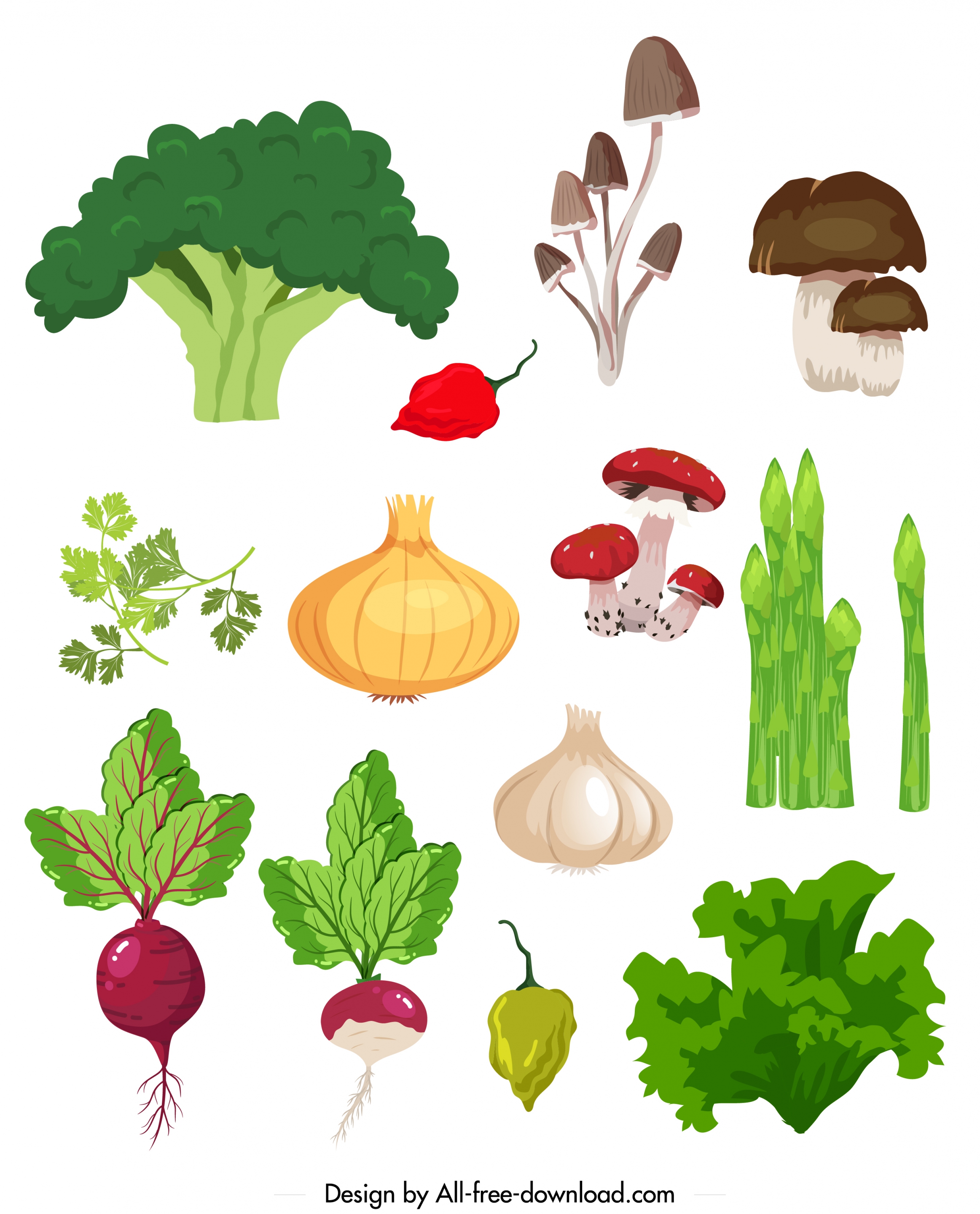 fresh ingredients icons colorful classical design