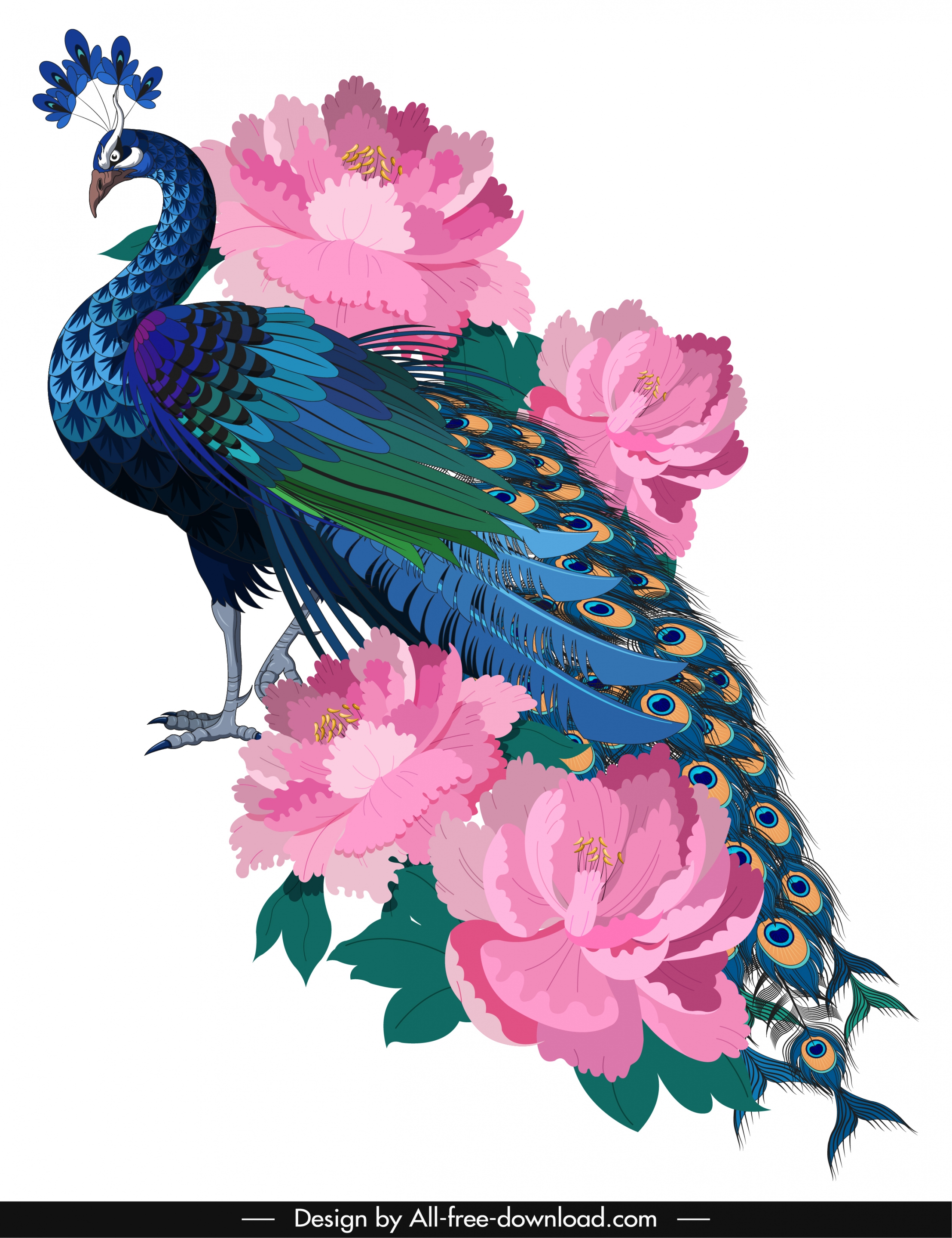 peacock painting colorful elegant sketch blooming flowers decor