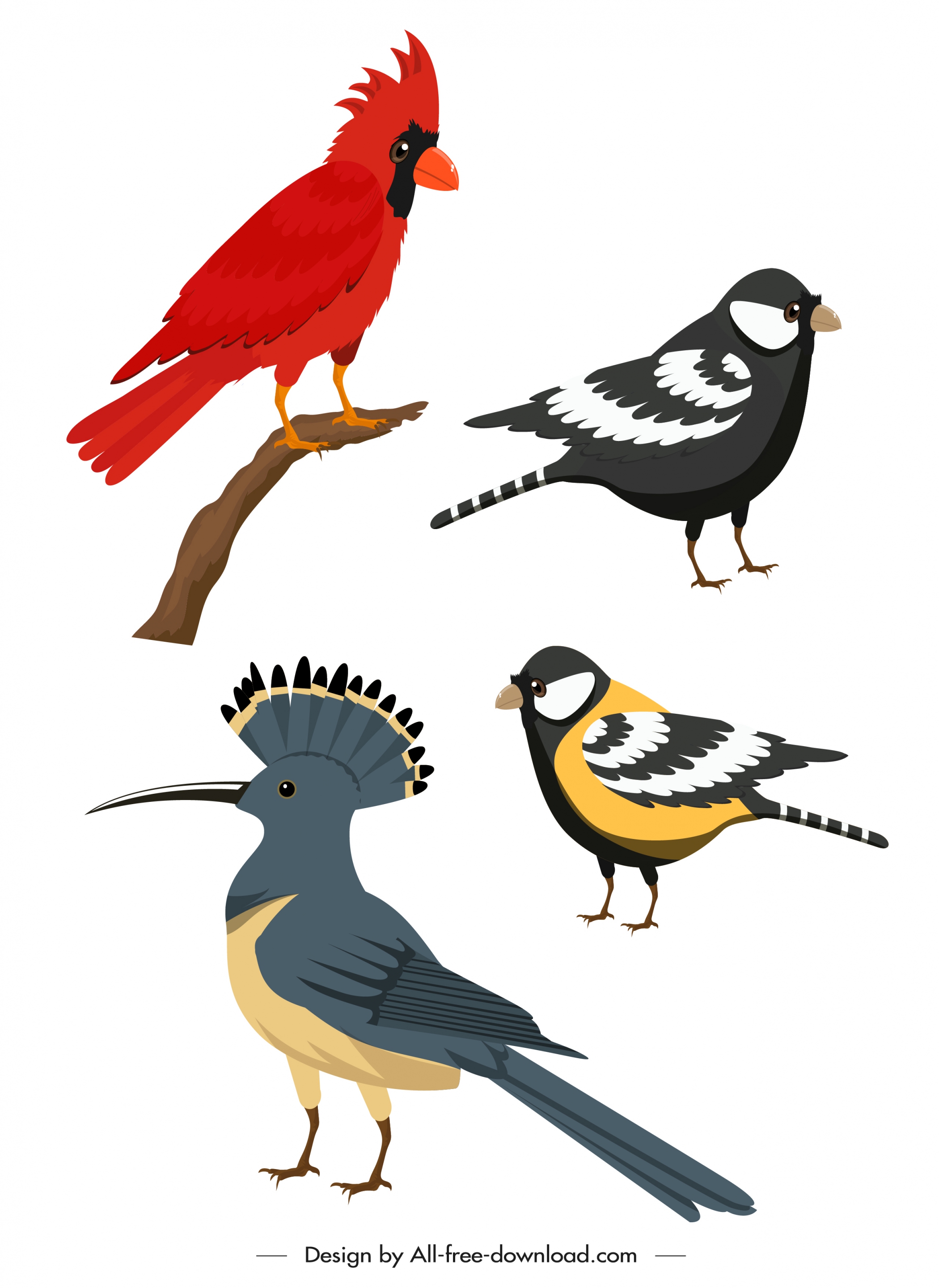 birds species icons colorful cartoon sketch