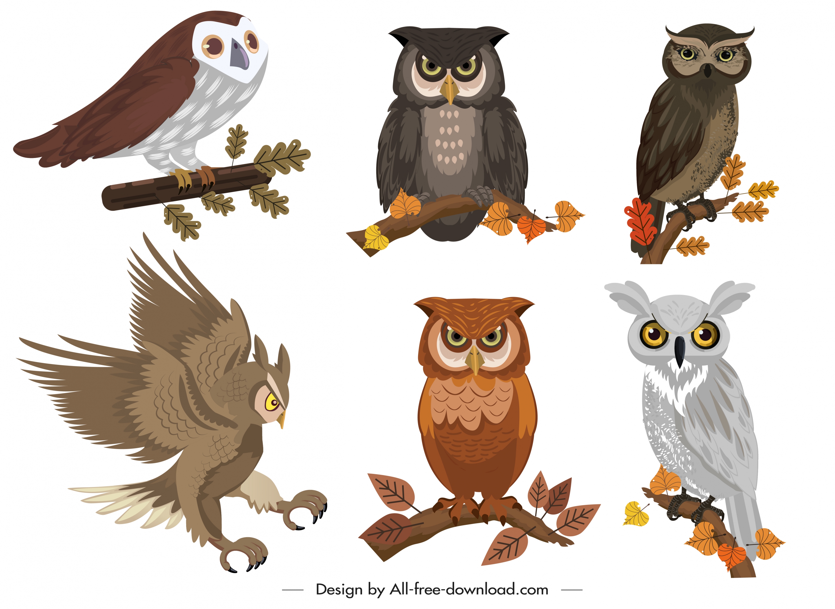 owl icons collection colored cartoon design