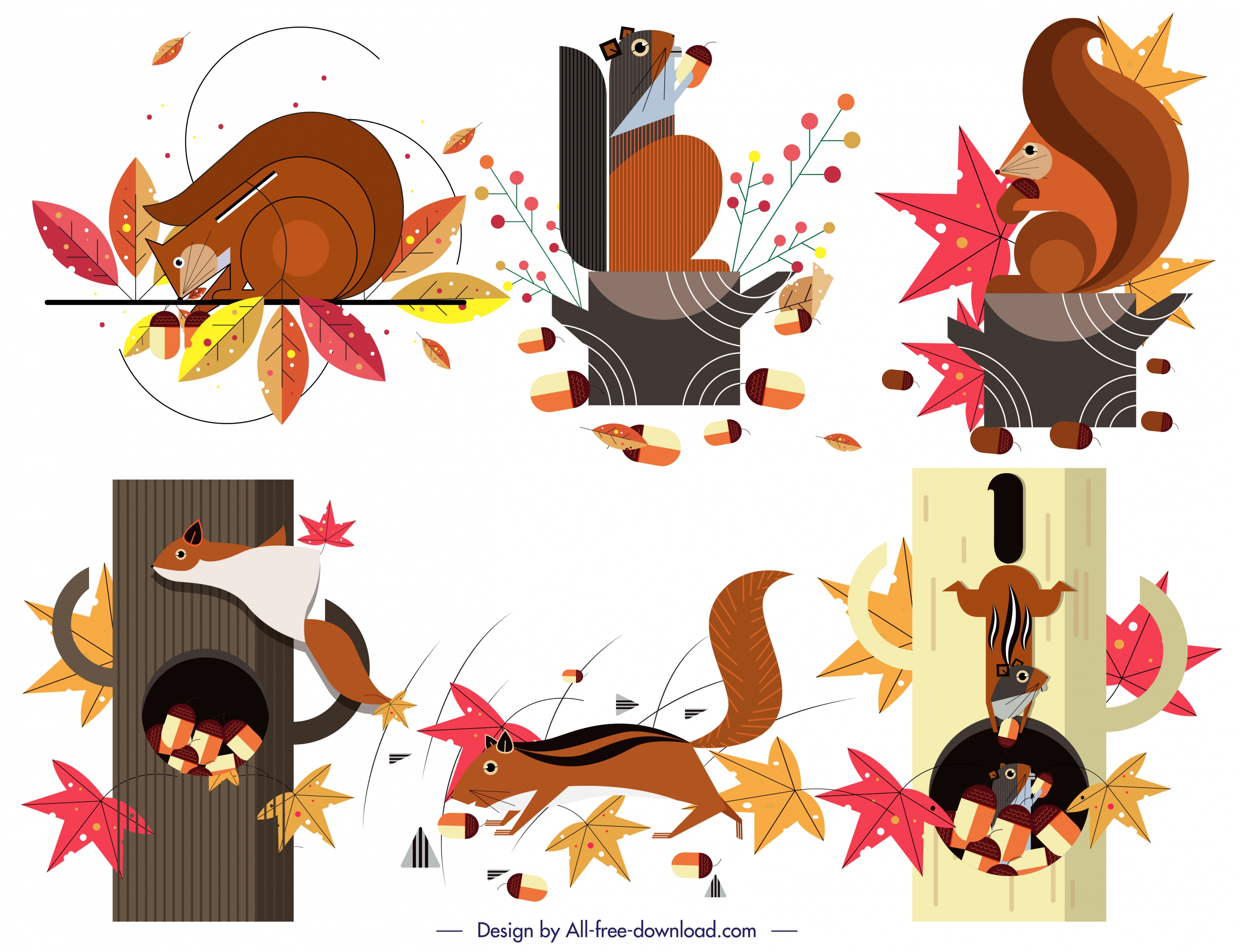 squirrel animal icons collection funny design colorful decor