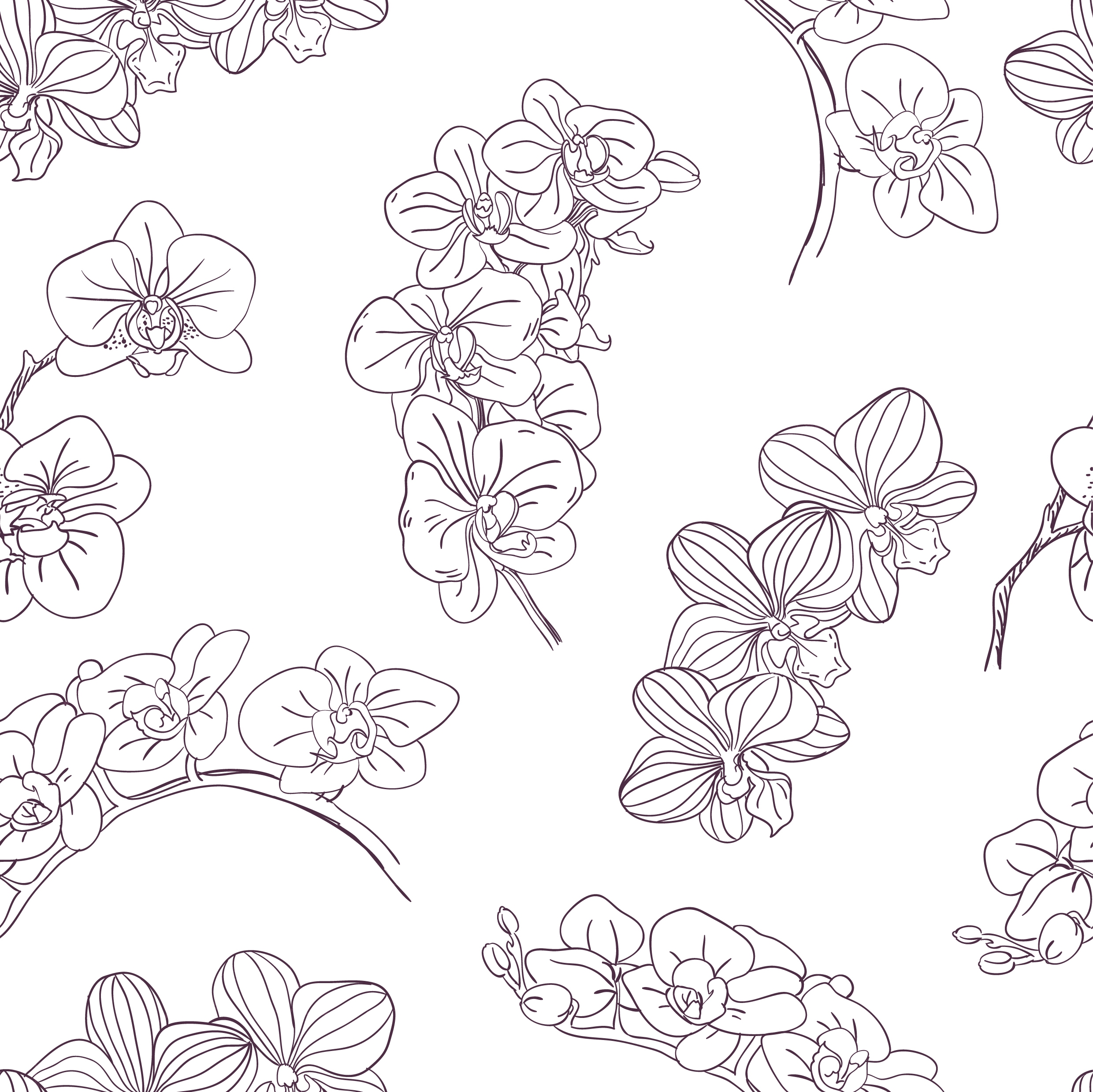 orchids background black white handdrawn sketch