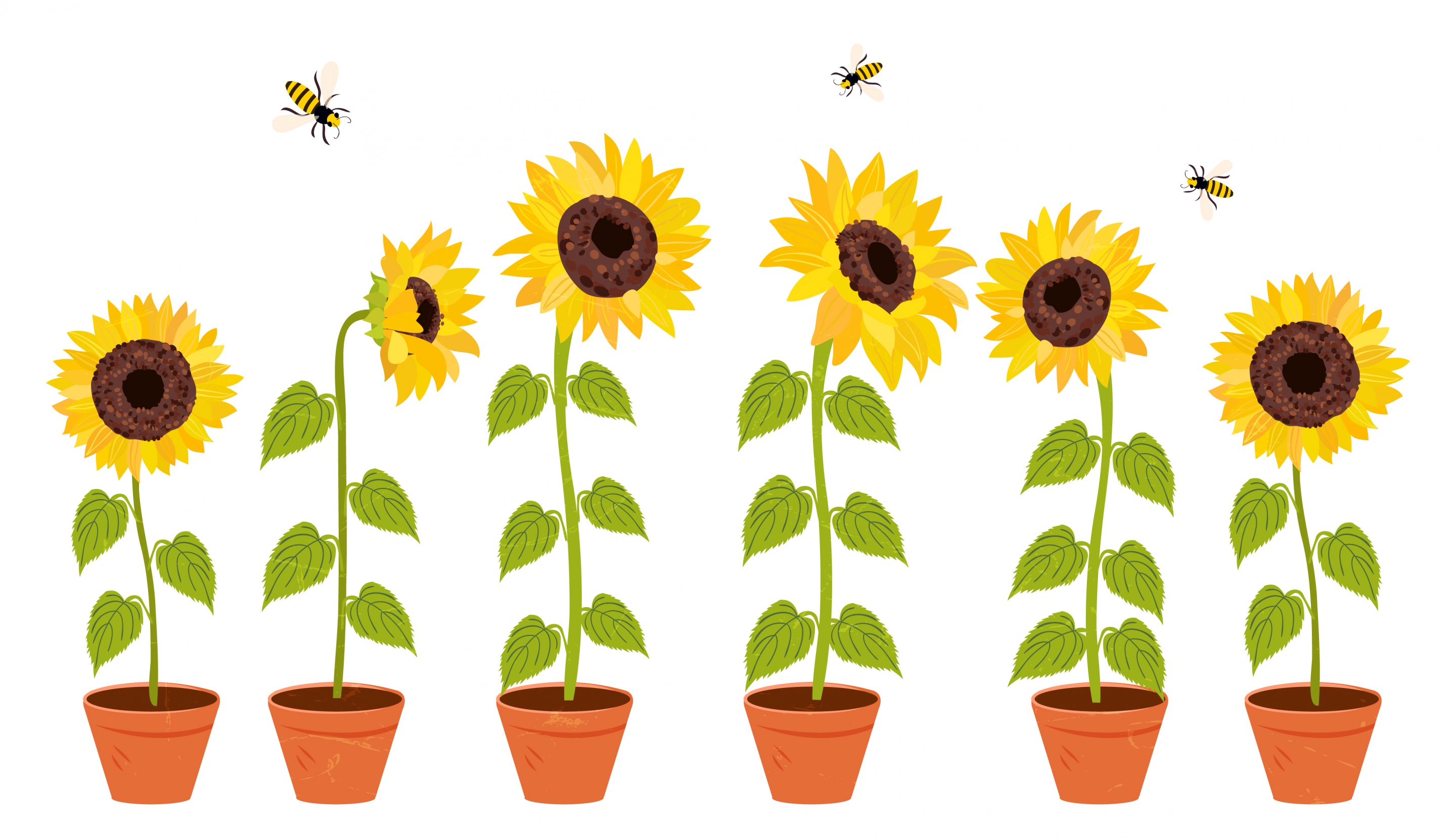 decorative flora drawing sunflower pots honeybees icons