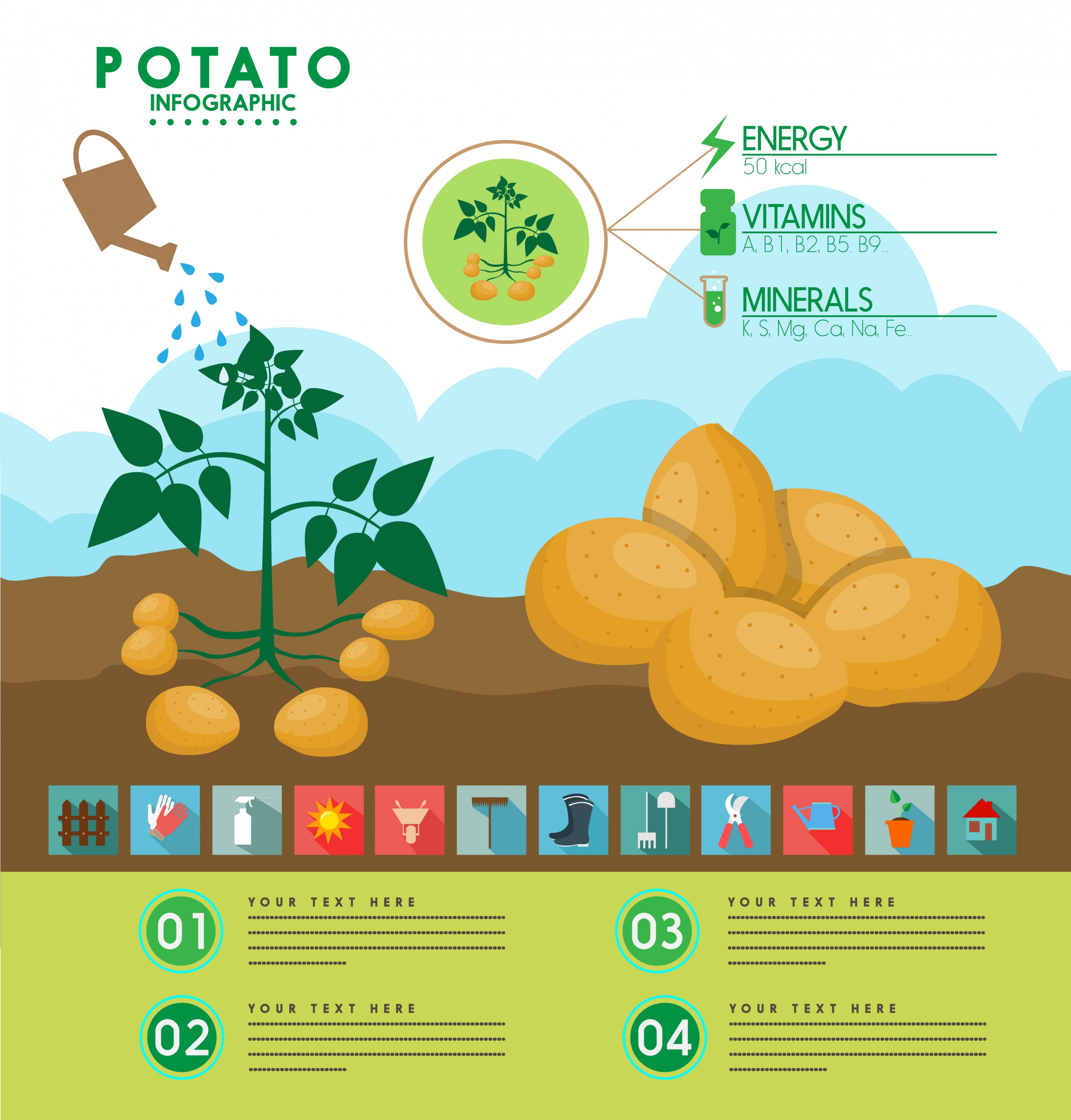 potato infographic fruit tree water icons multicolored design