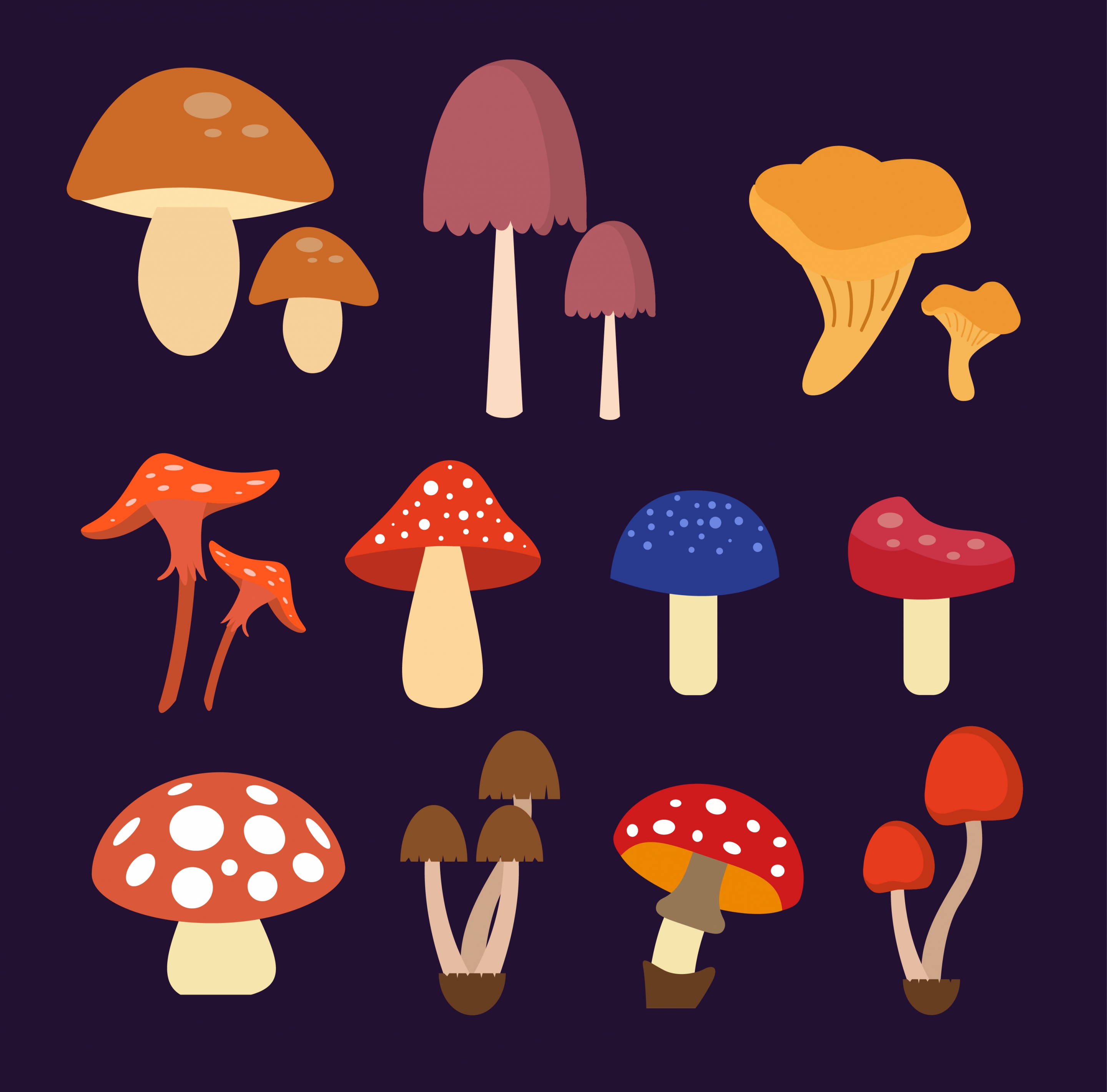 mushroom icons collection various multicolored types