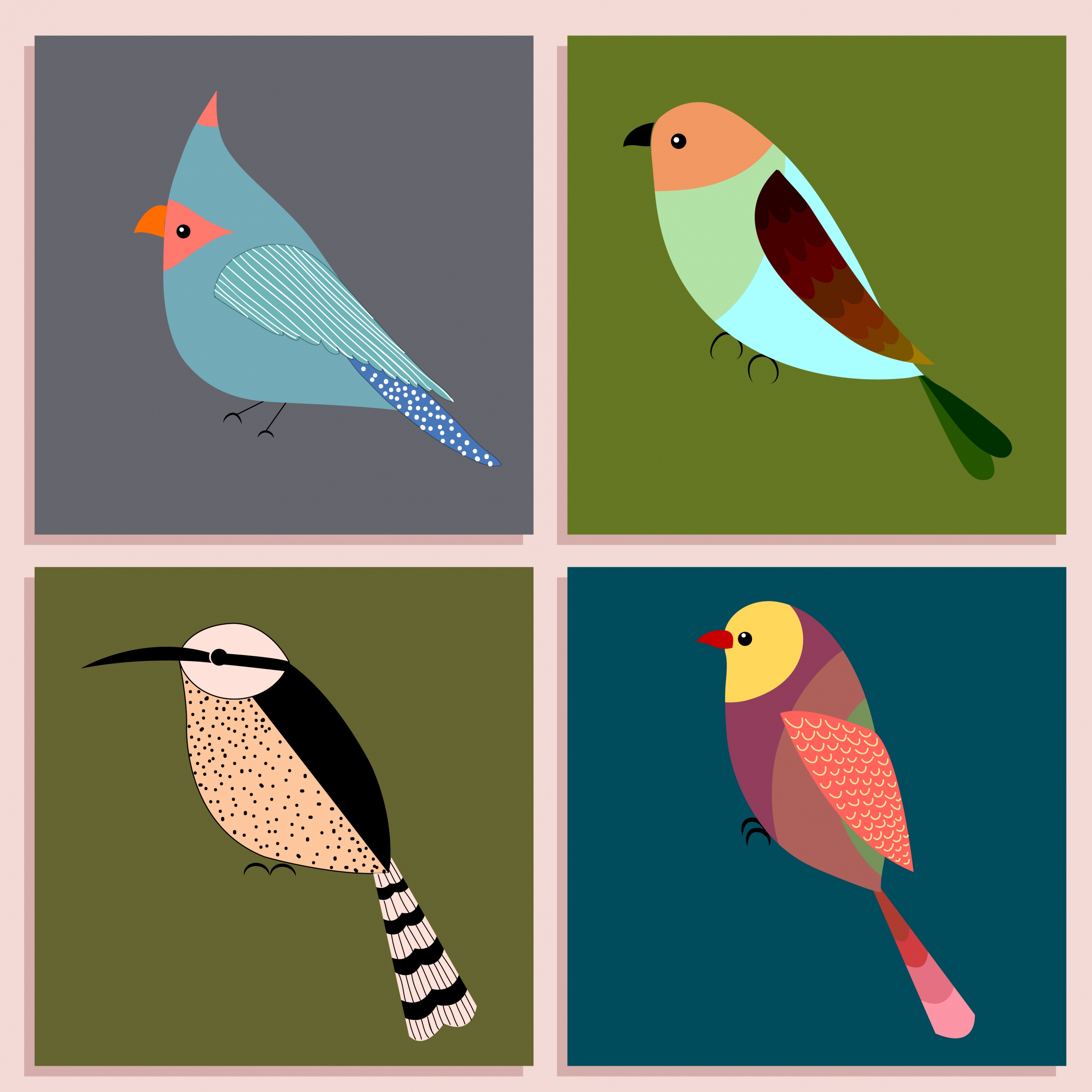 bird icons isolation various multicolored types