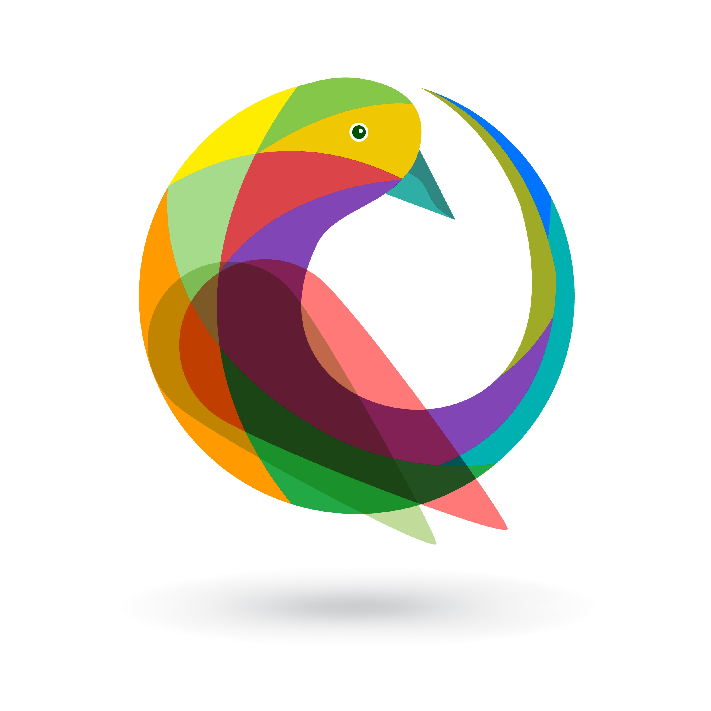 bird logo design colorful curves design