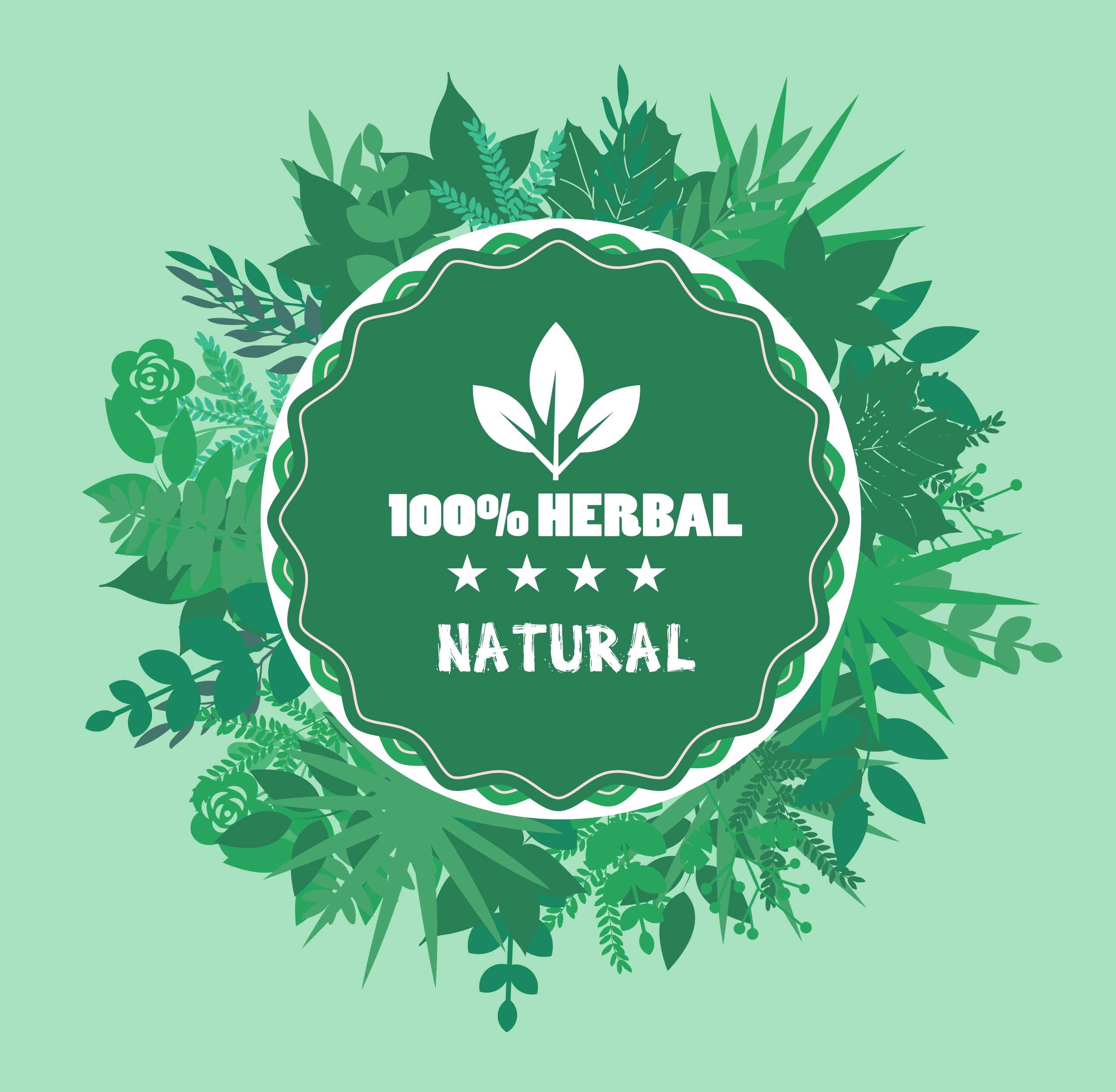 herbal product badge template green circle leaves decor