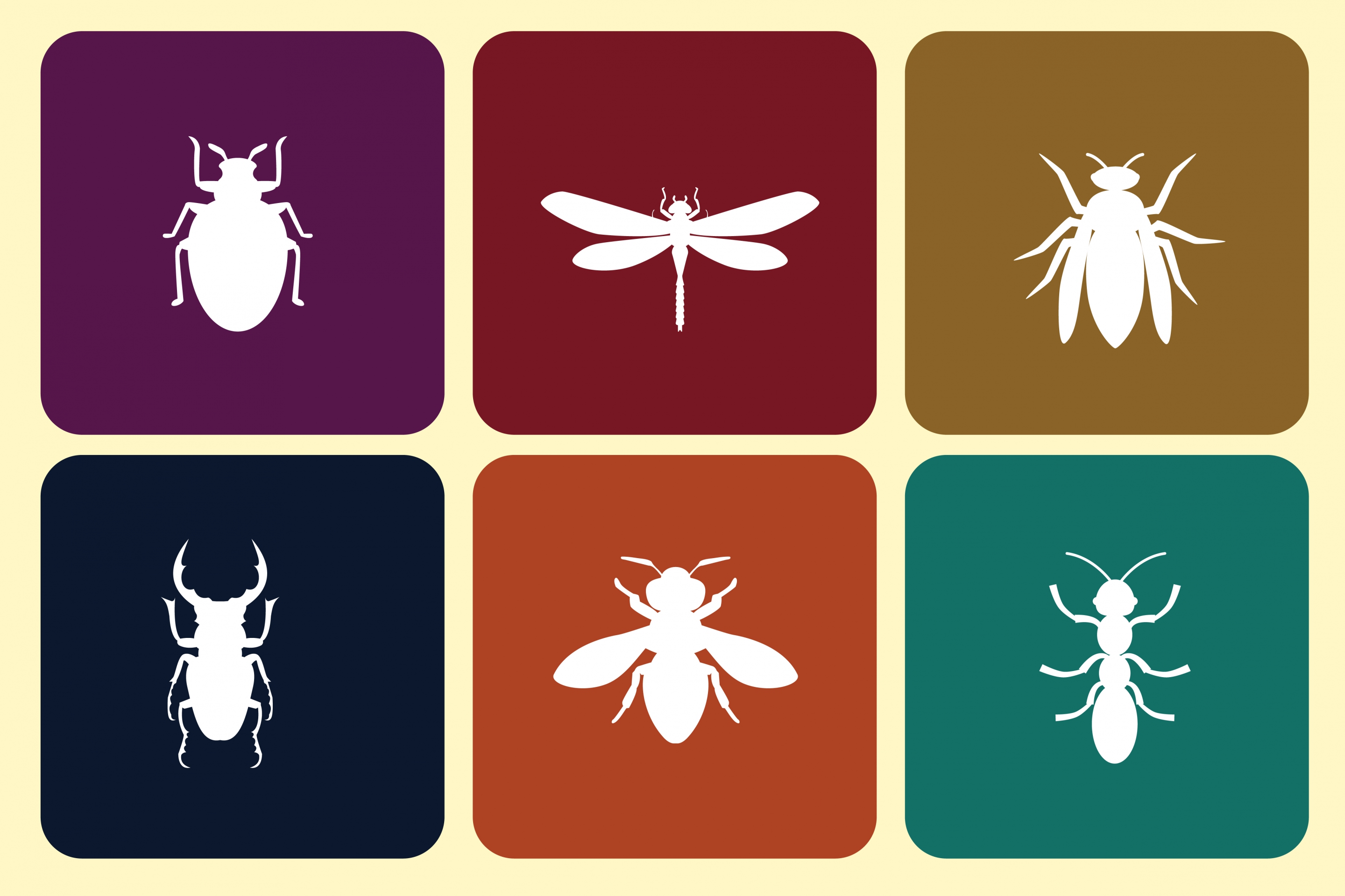 insect icons collection white flat symbols isolation