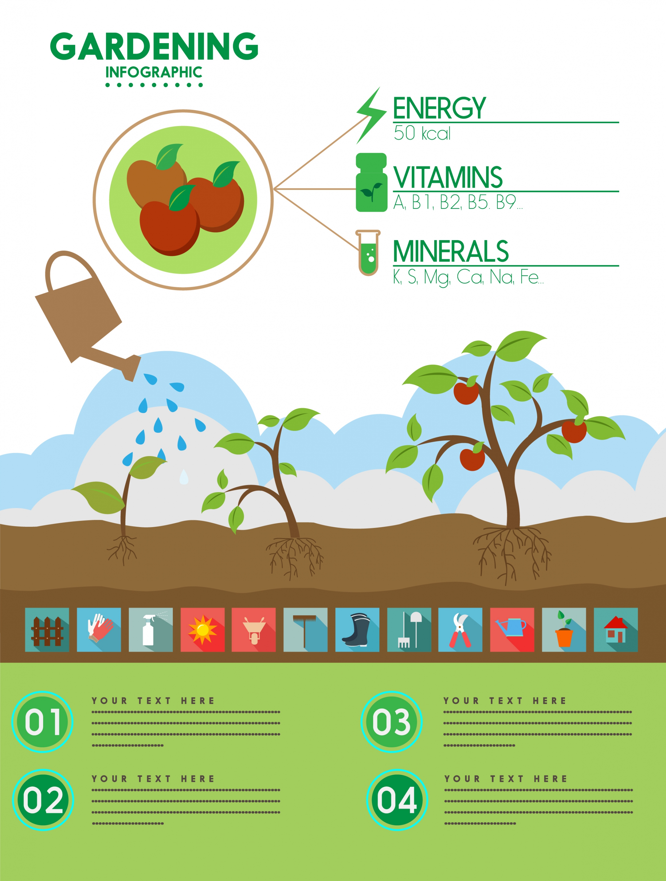 gardening work infographic fruit and tools symbols decoration