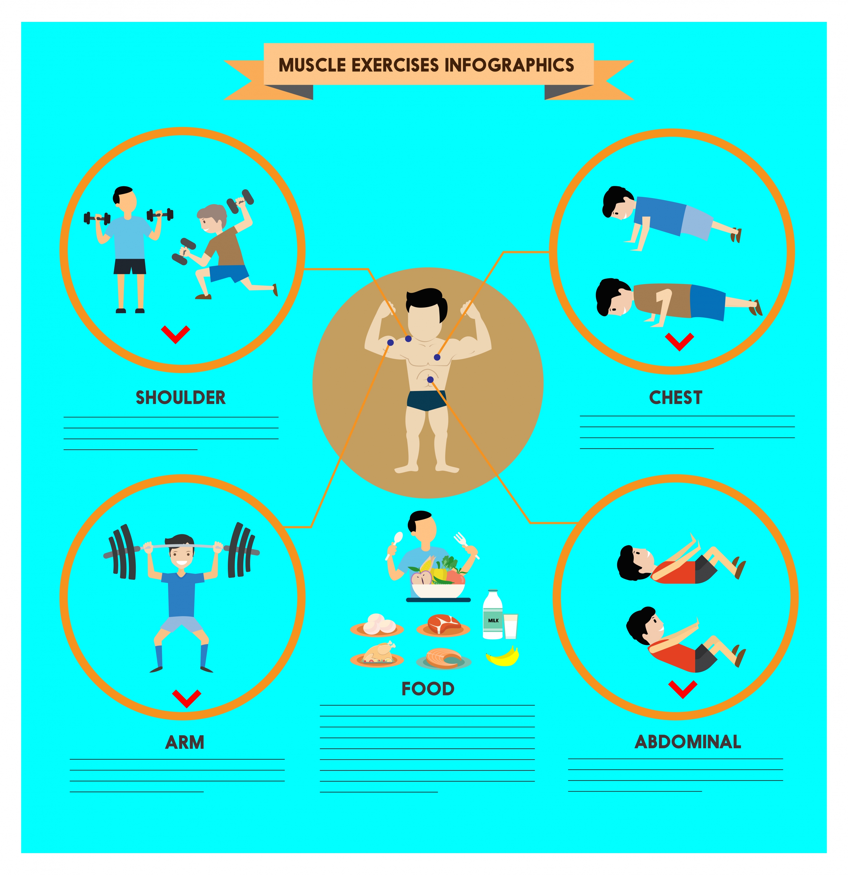 muscle exercises infographics illustration with various exercises